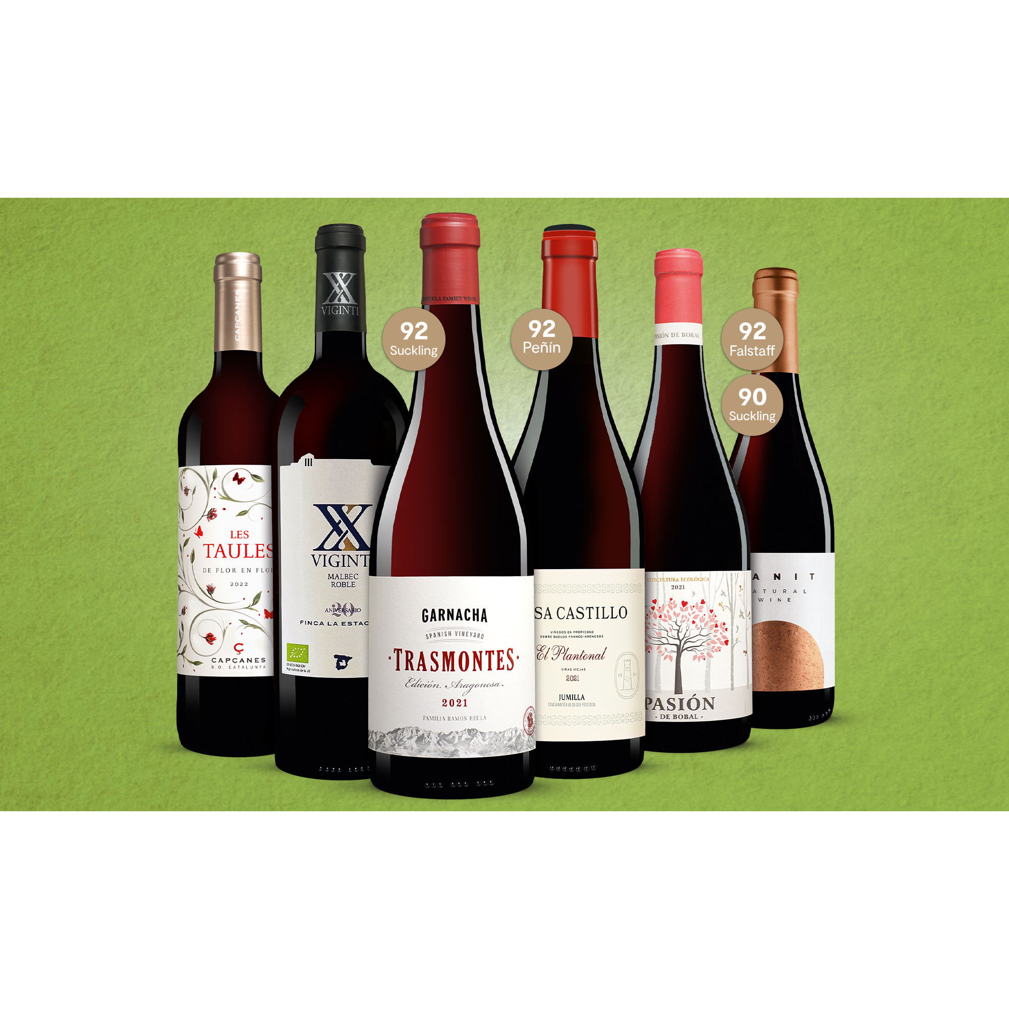 Bio-Genießer-Paket  4.5L Weinpaket aus Spanien 36970 vinos DE