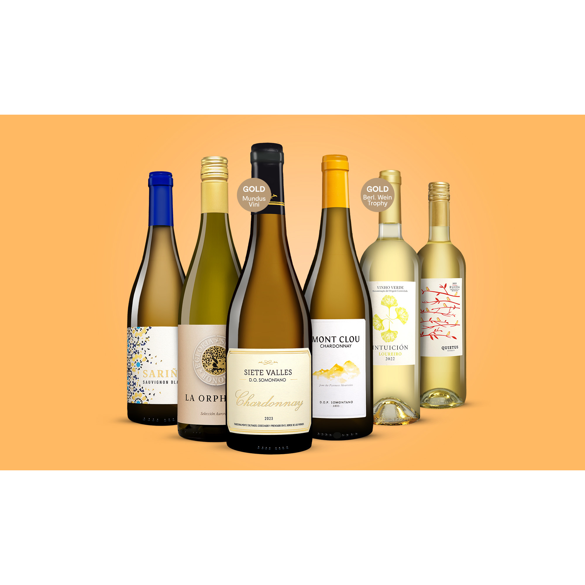 Weißwein-Genießer-Paket  4.5L Weinpaket aus Spanien 36972 vinos DE