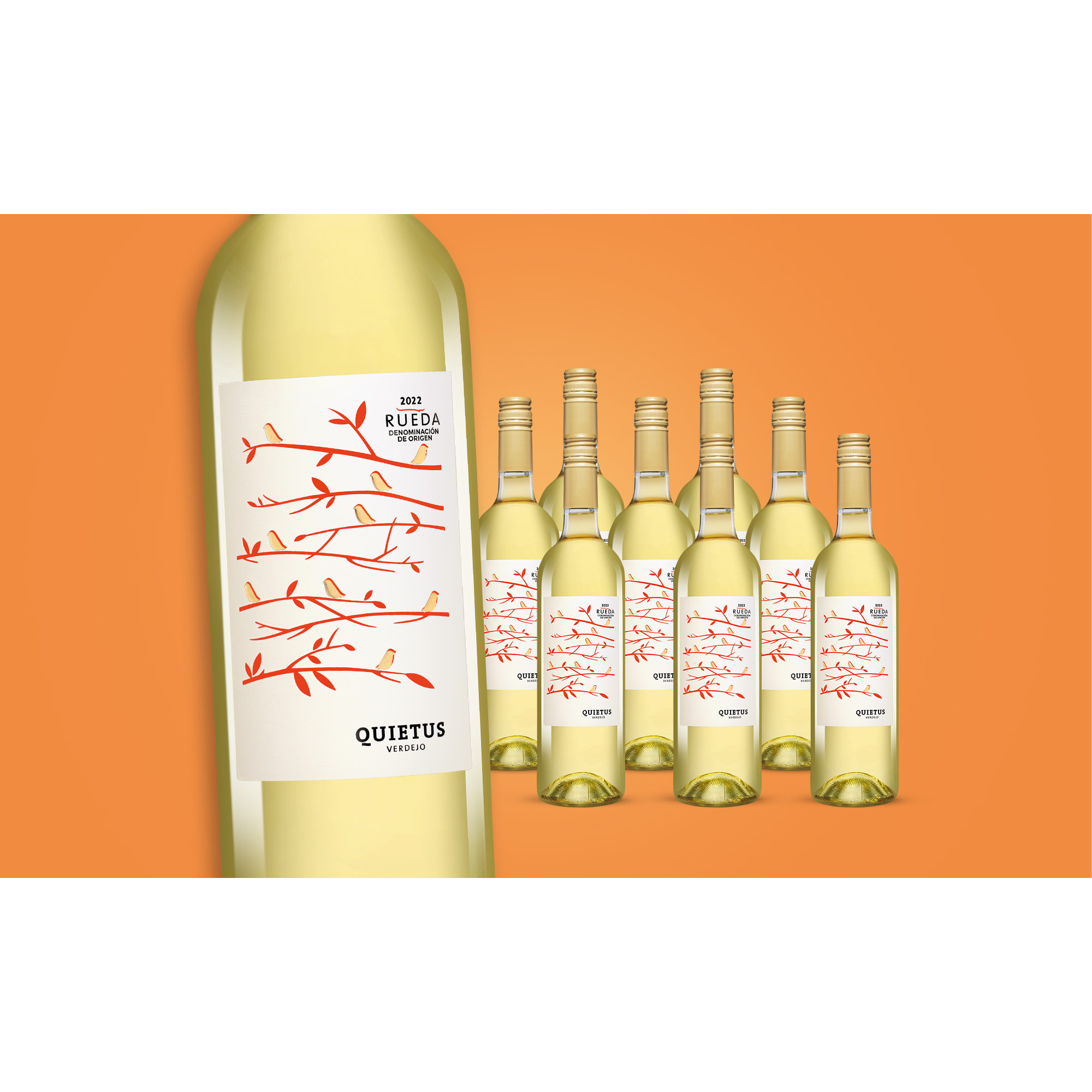 Quietus Verdejo 2022  6.75L 12.5% Vol. Weinpaket aus Spanien 37063 vinos DE
