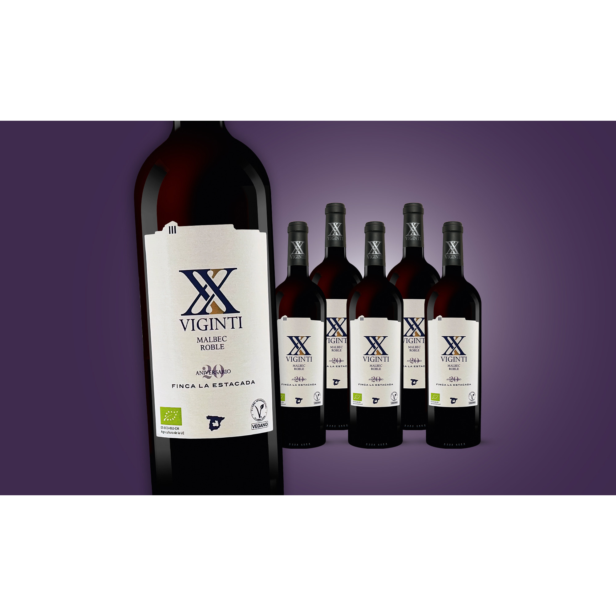 Viginti Malbec Roble 2022 Paket  4.5L 13% Vol. Weinpaket aus Spanien 37147 vinos DE