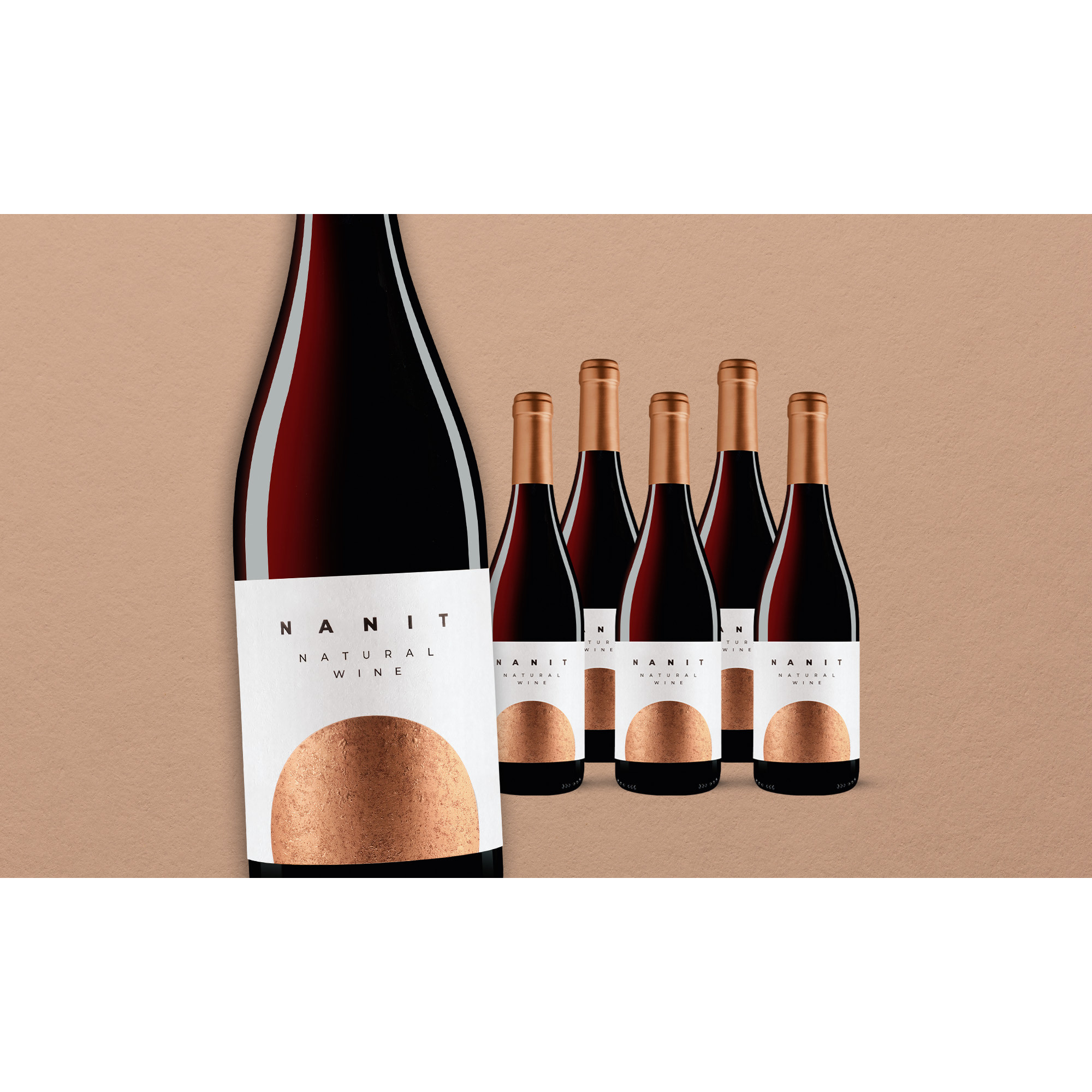Nanit Tinto 2022 Natural Wine Paket  4.5L 13% Vol. Weinpaket aus Spanien 37150 vinos DE