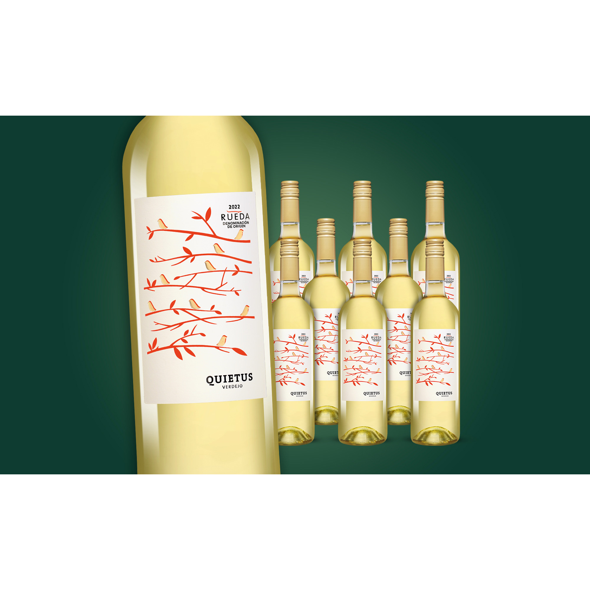 Quietus Verdejo 2022  6.75L 12.5% Vol. Weinpaket aus Spanien 37167 vinos DE