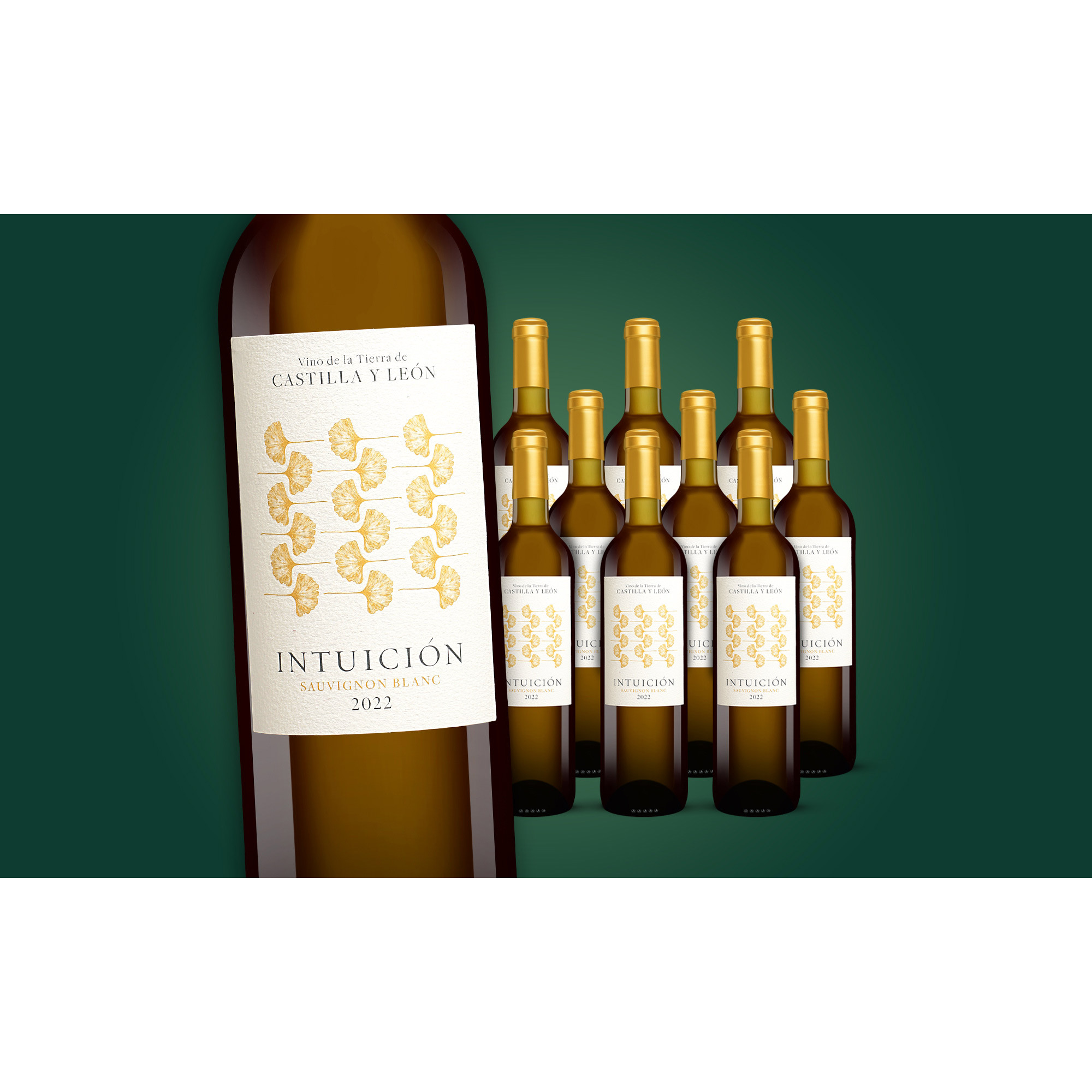 Intuición Sauvignon Blanc 2022  7.5L 13% Vol. Weinpaket aus Spanien 37169 vinos DE