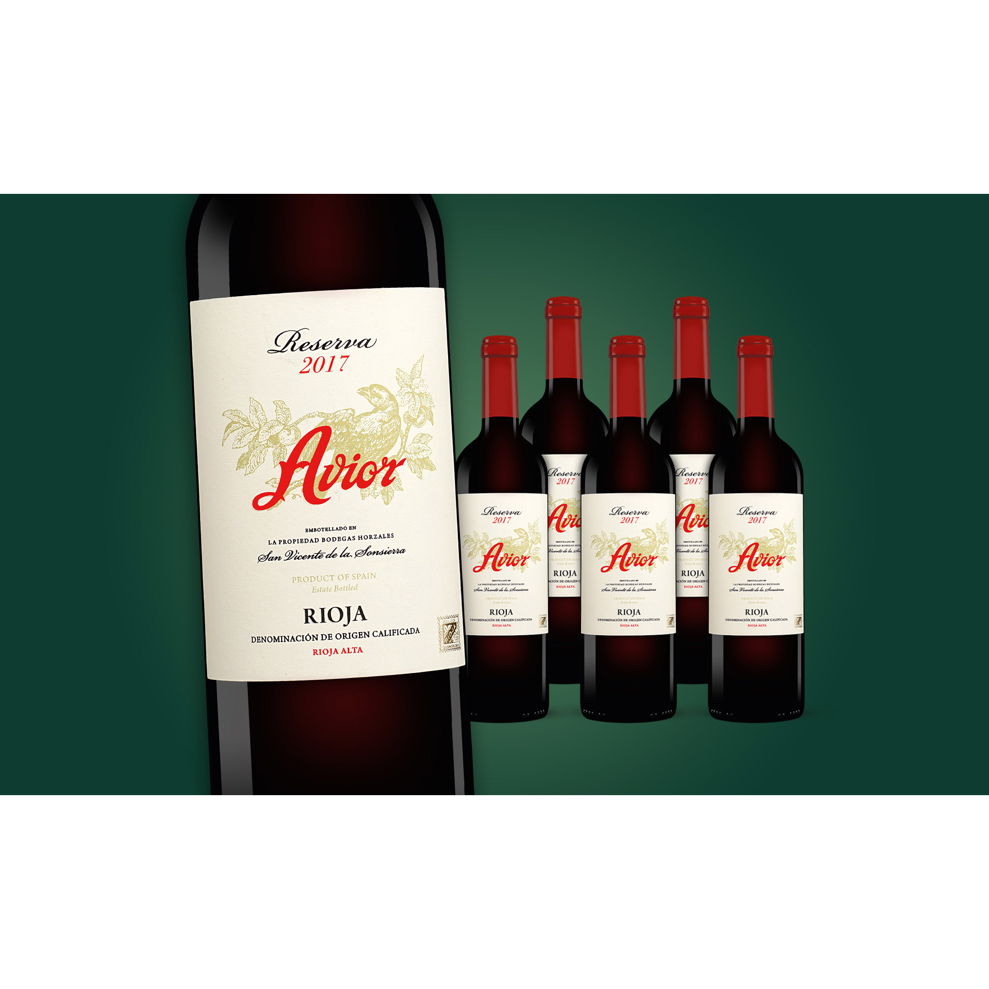 Avior Reserva 2017  4.5L 13.5% Vol. Weinpaket aus Spanien 37176 vinos DE