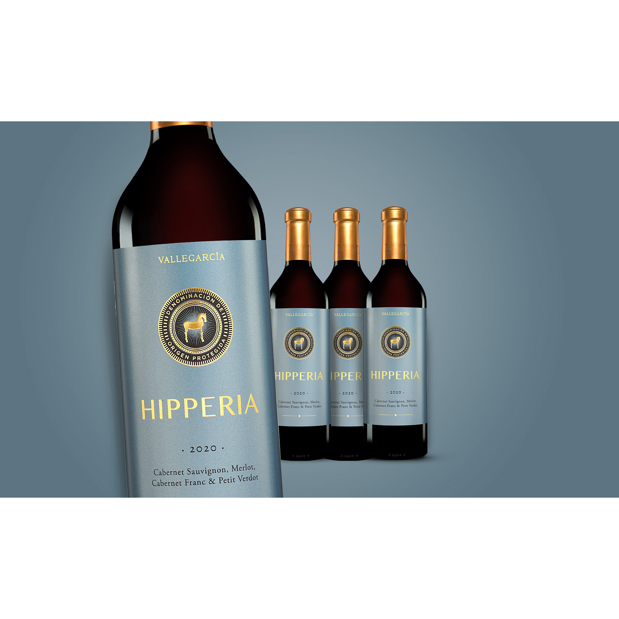 Vallegarcía Hipperia 2020  3L 15% Vol. Weinpaket aus Spanien 37408 vinos DE