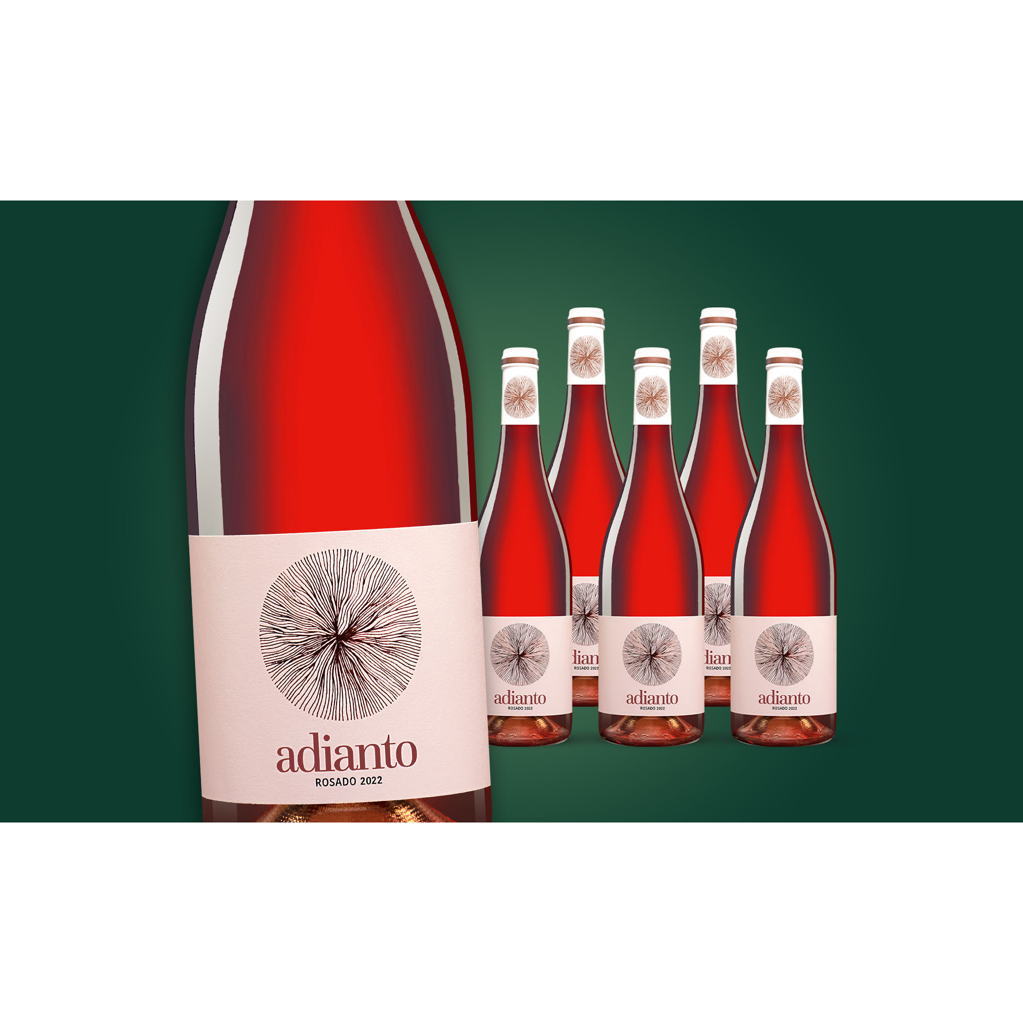 Adianto Rosado 2022  4.5L 13% Vol. Weinpaket aus Spanien 37414 vinos DE