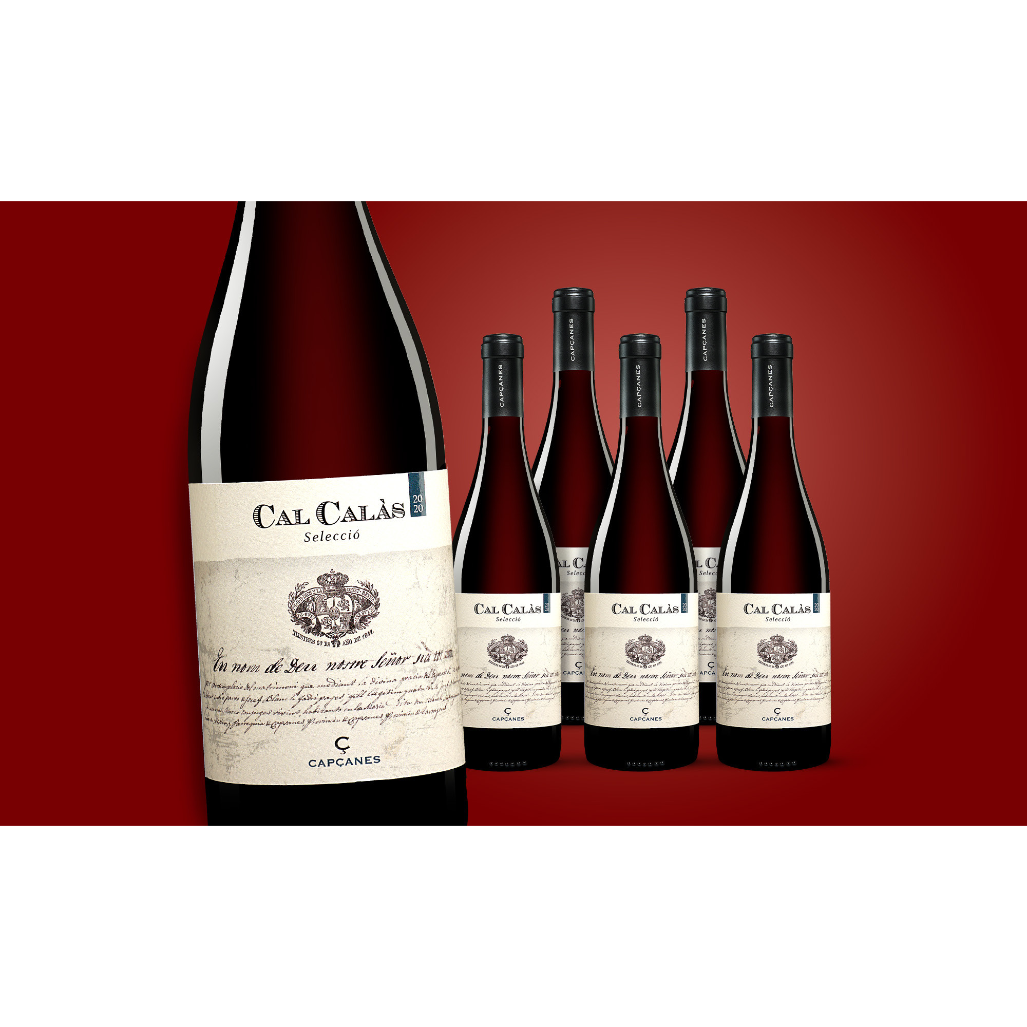 Capçanes »Cal Calàs« 2020  4.5L 14.5% Vol. Weinpaket aus Spanien 37458 vinos DE