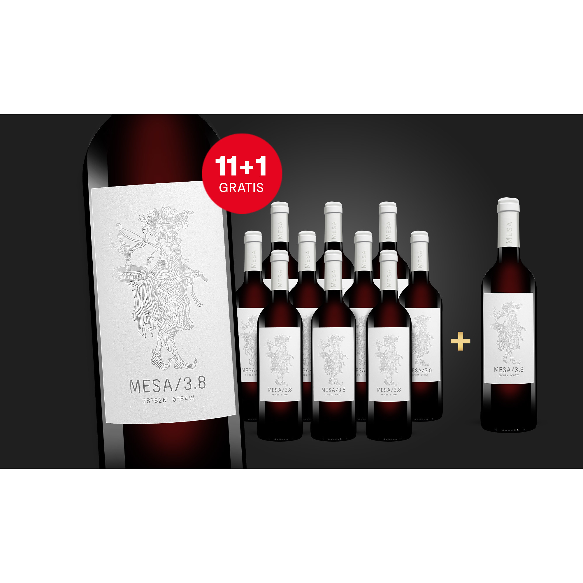 MESA/3.8  9L 13% Vol. Weinpaket aus Spanien 37492 vinos DE