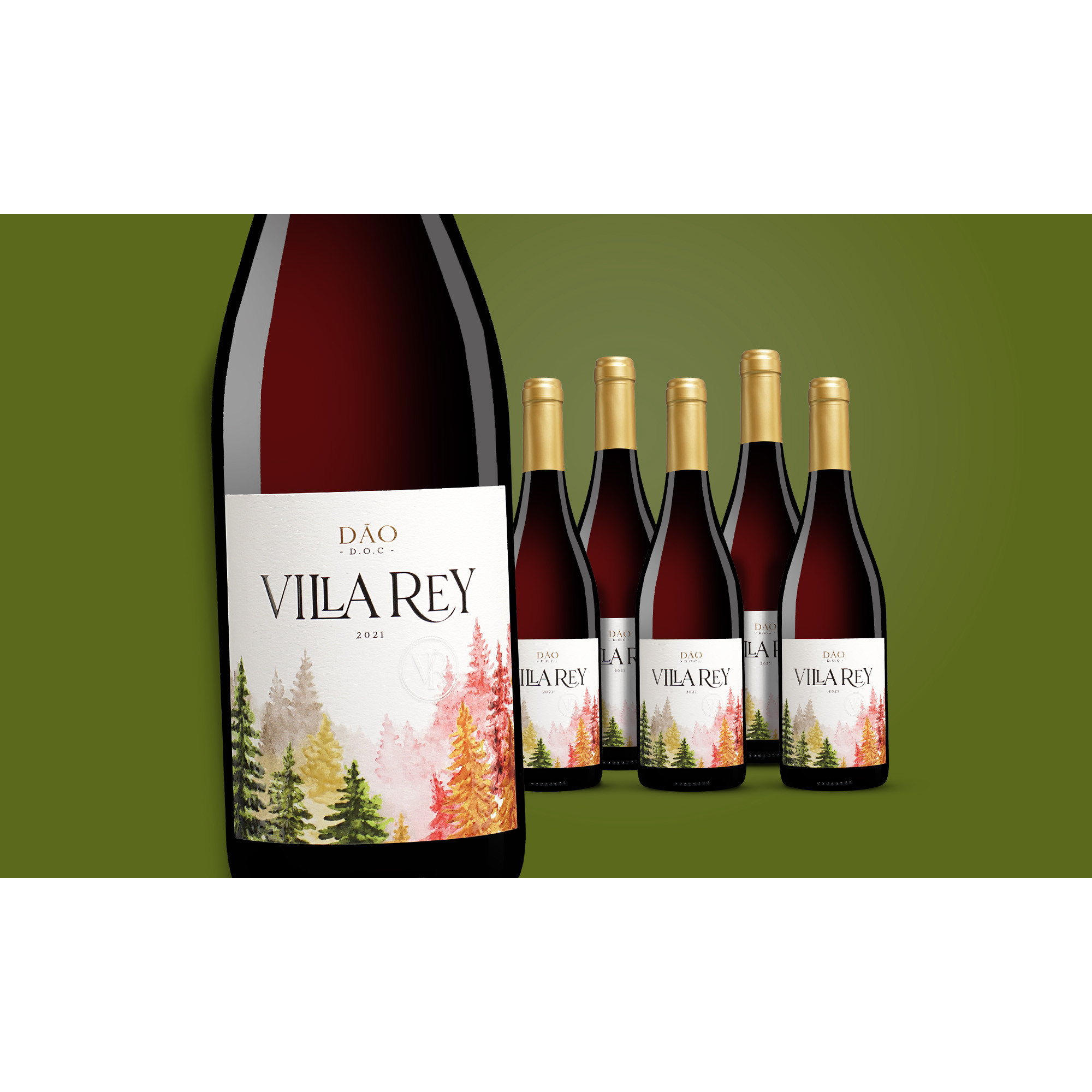 Villa Rey 2021  4.5L 13% Vol. Weinpaket aus Spanien 37496 vinos DE