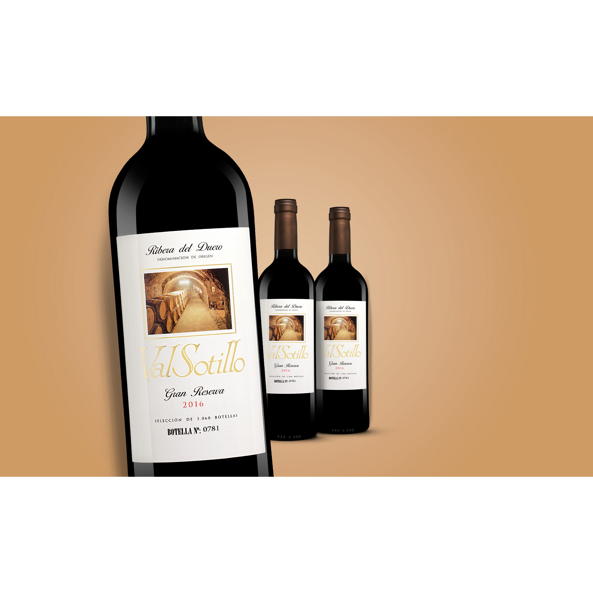Val Sotillo Gran Reserva 2016  2.25L 14.5% Vol. Weinpaket aus Spanien 37524 vinos DE
