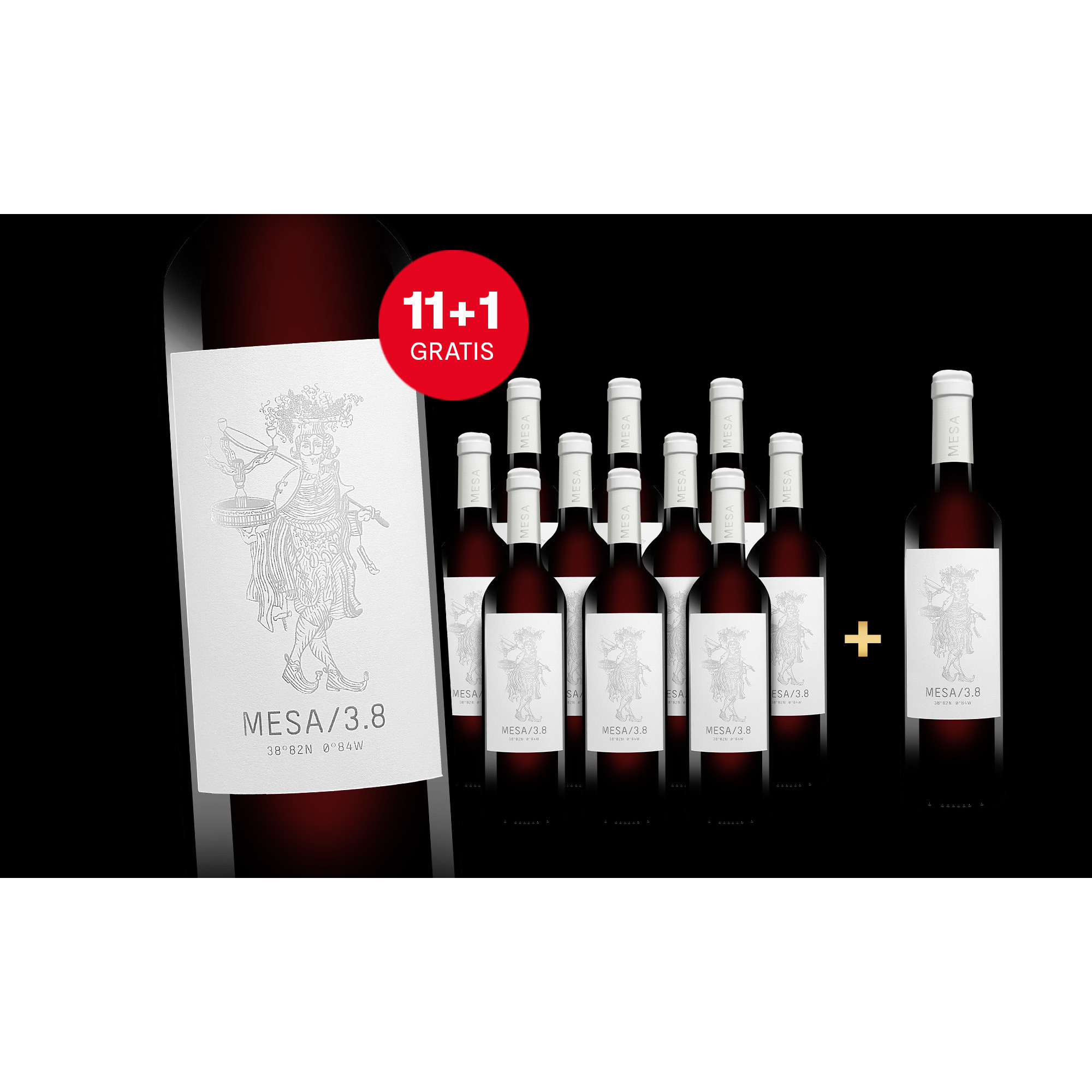 MESA/3.8  9L 13% Vol. Weinpaket aus Spanien 37667 vinos DE