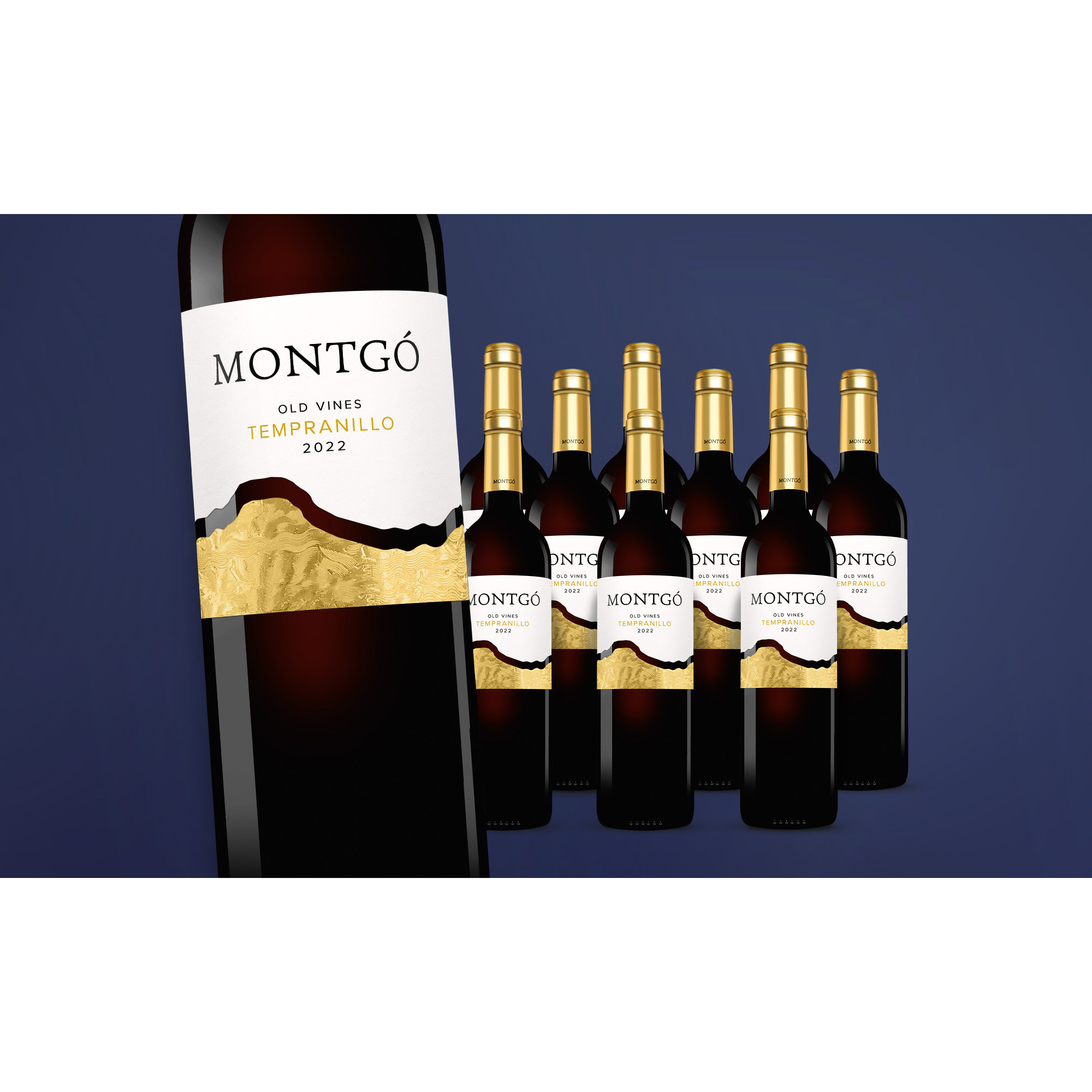 Montgó Tempranillo 2022  7.5L 14% Vol. Weinpaket aus Spanien 37671 vinos DE