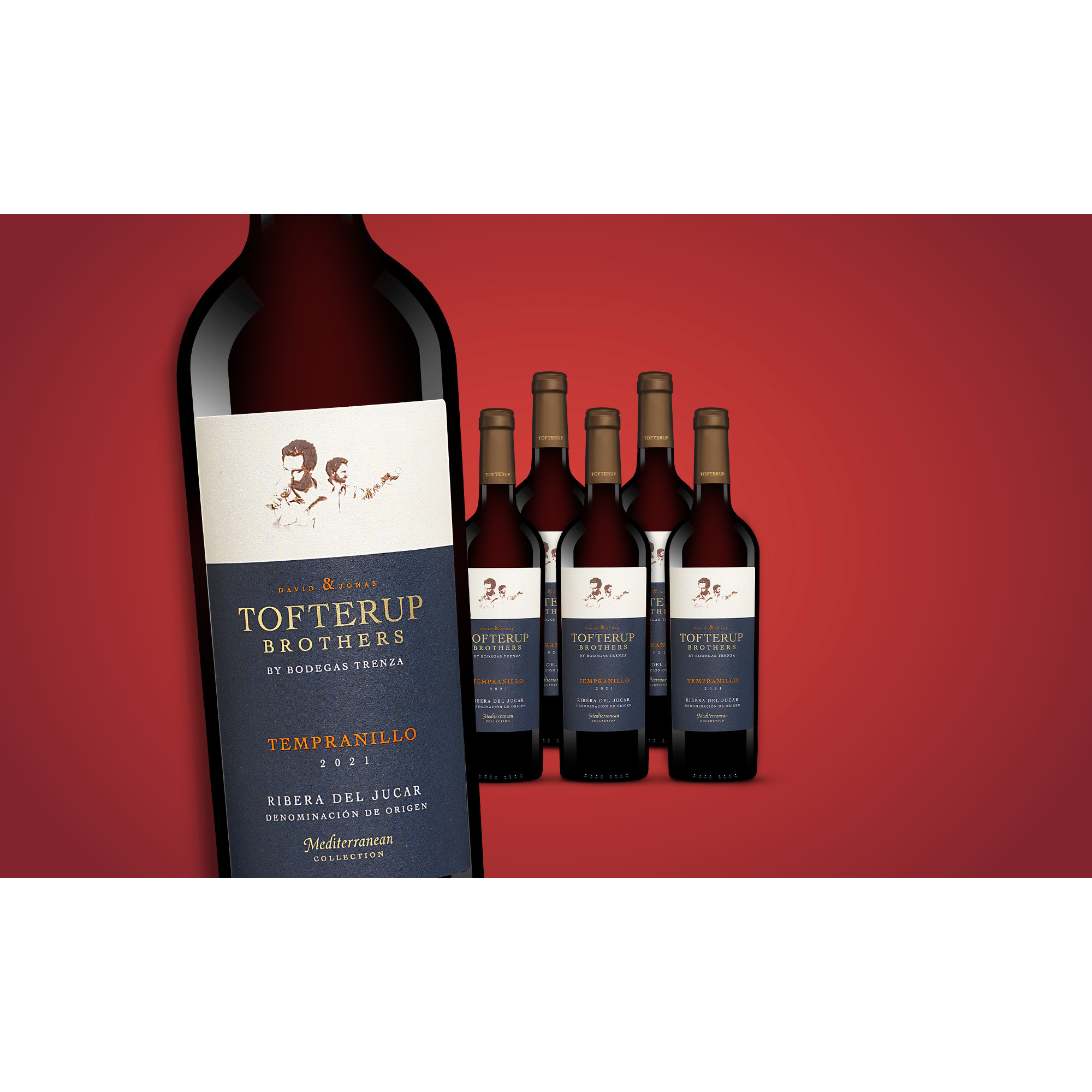 Tofterup Brothers Tempranillo 2021  4.5L 14% Vol. Weinpaket aus Spanien 37719 vinos DE
