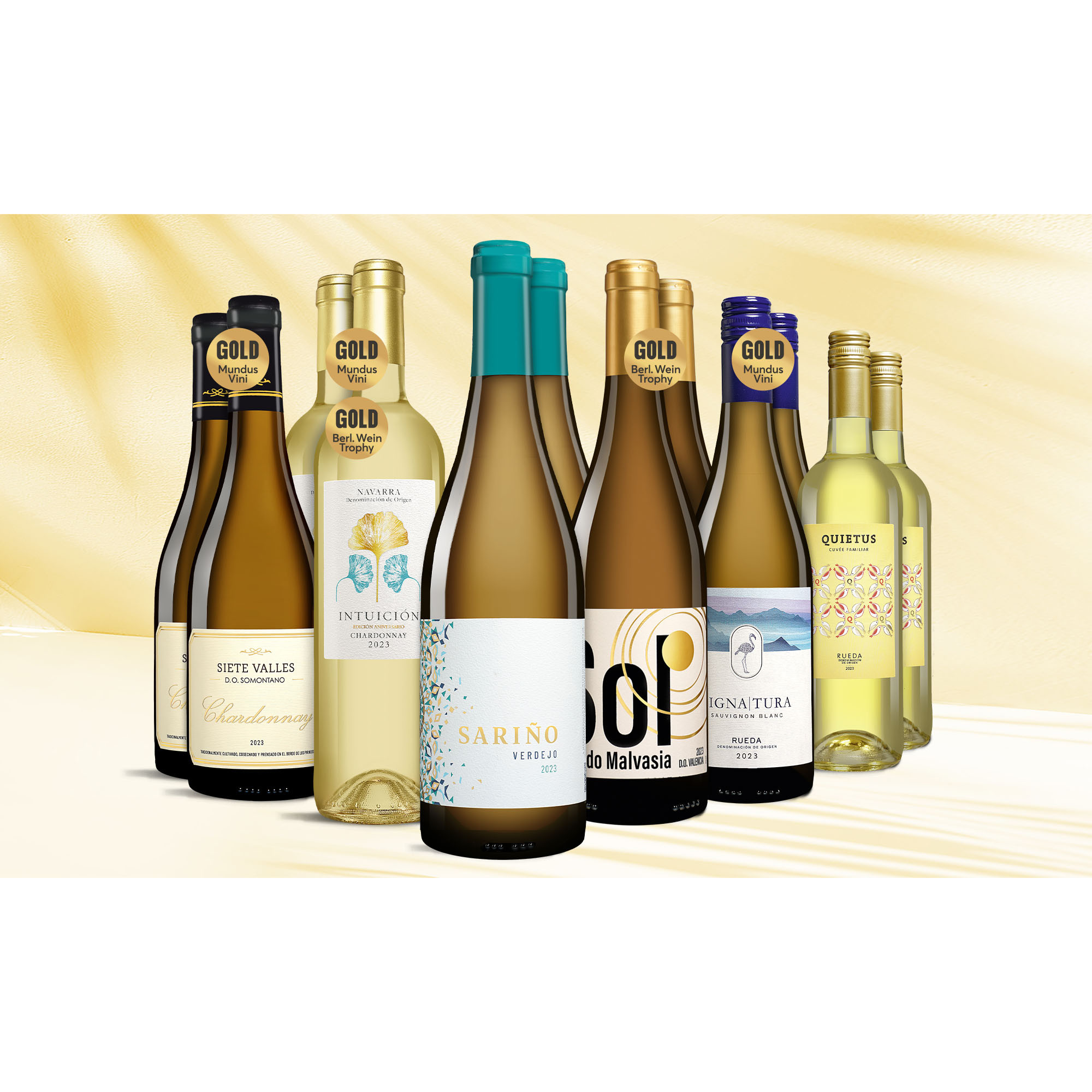 Weißwein Vielfalt-Paket  9L Weinpaket aus Spanien 37726 vinos DE