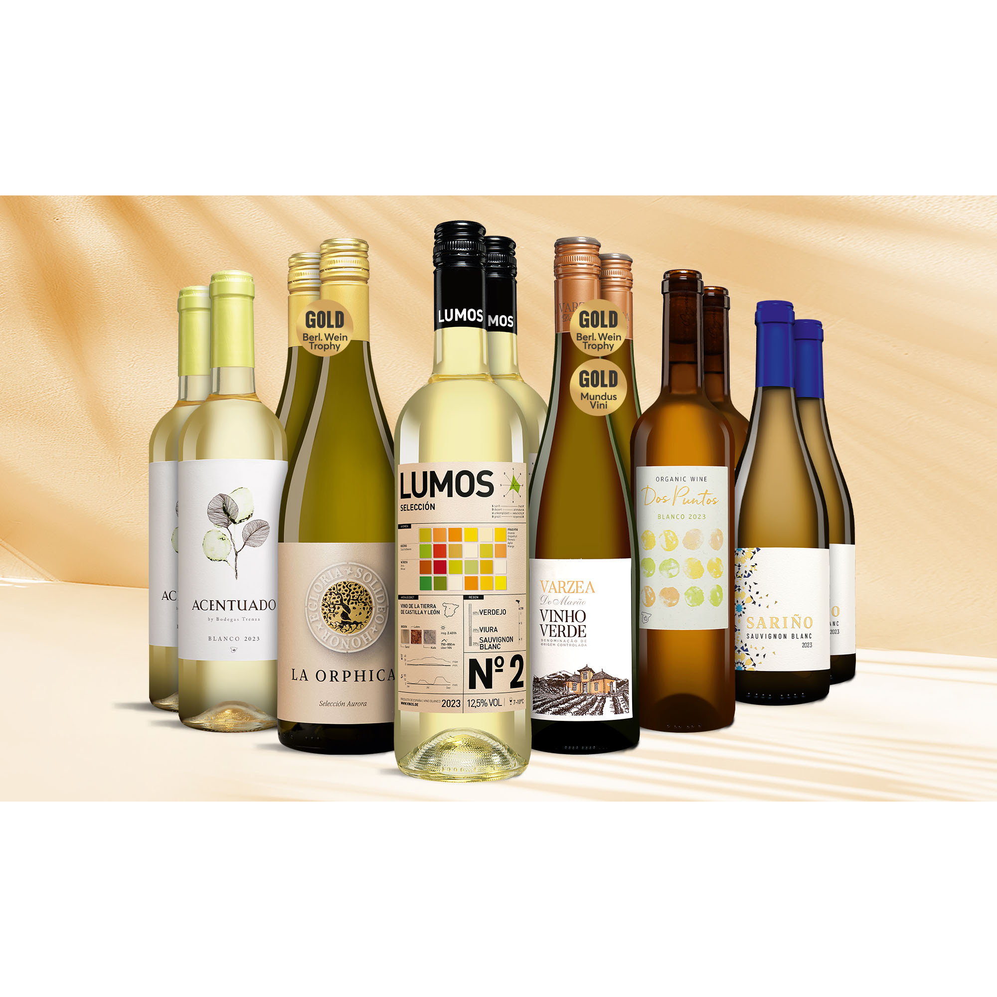 Weißwein Genießer-Paket  9L Weinpaket aus Spanien 37733 vinos DE