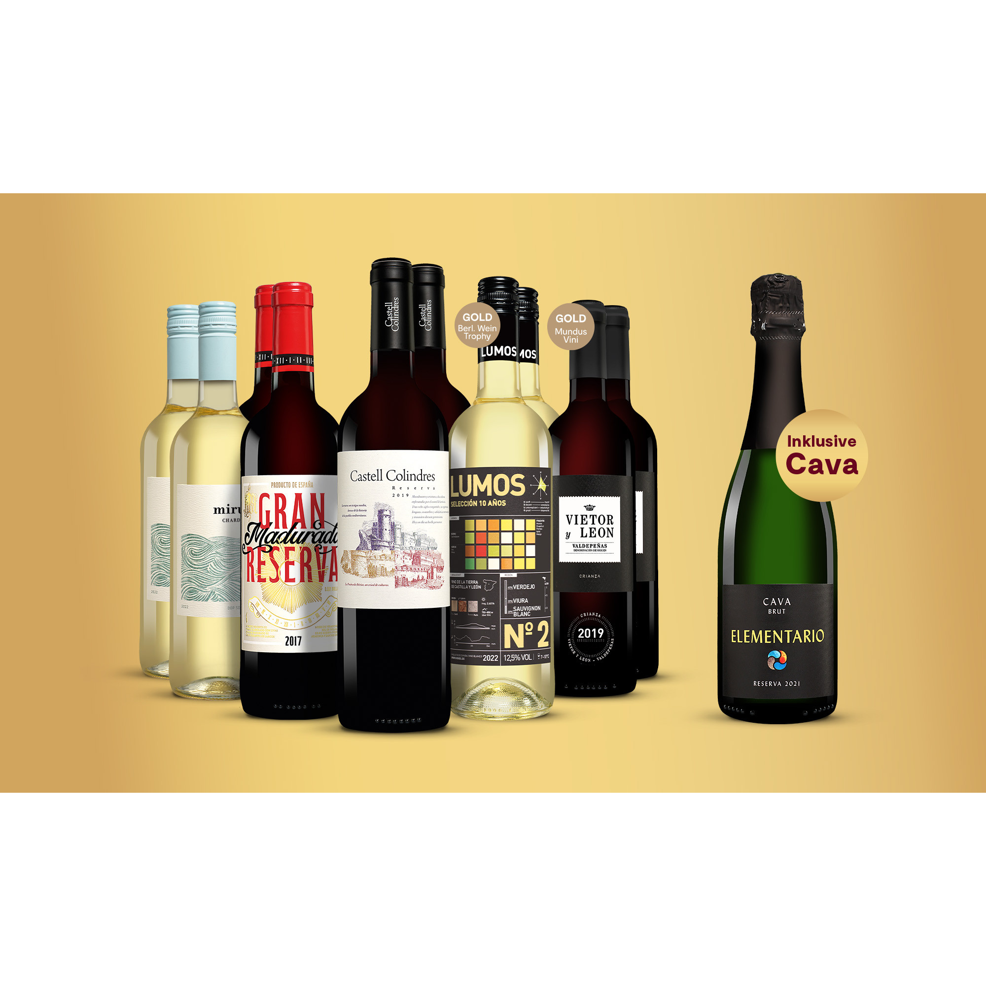 Silvester-Genießer-Paket  8.25L Weinpaket aus Spanien 37757 vinos DE