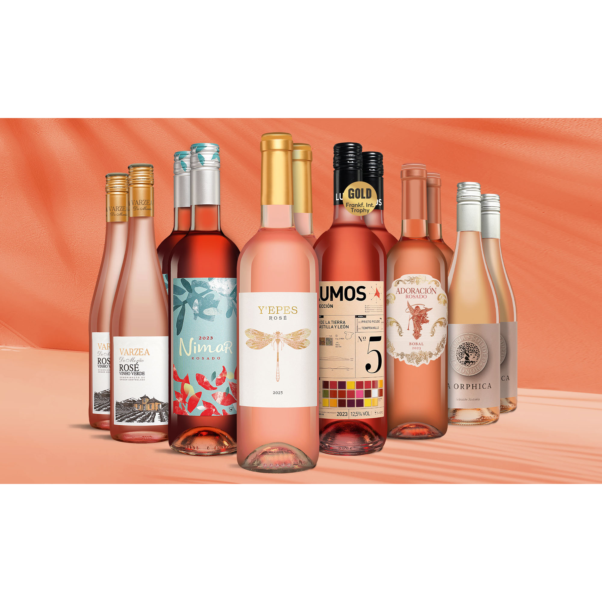 Rosé Genießer-Paket  9L Weinpaket aus Spanien 37796 vinos DE