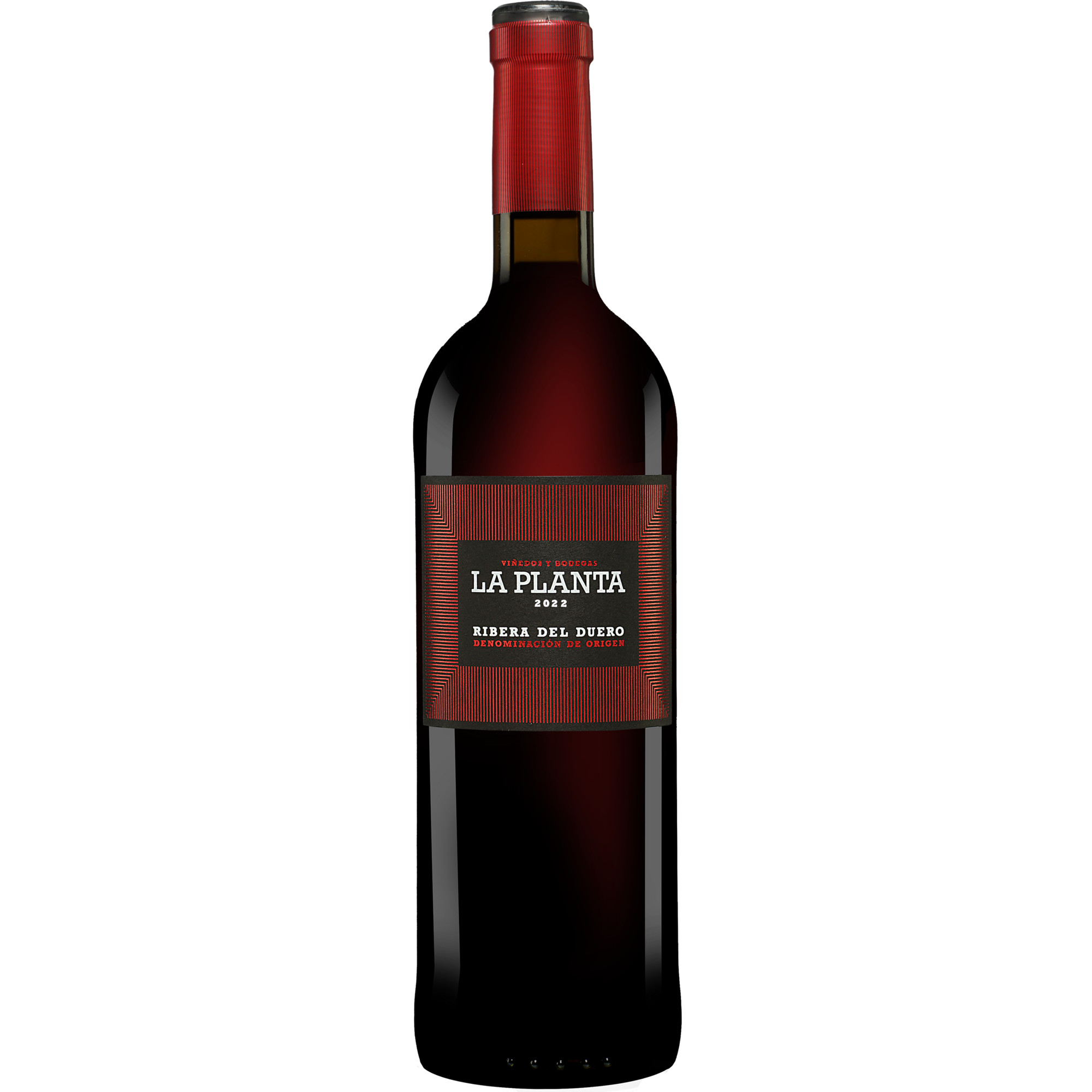 Arzuaga La Planta 2022  014% Vol. Rotwein Trocken aus Spanien