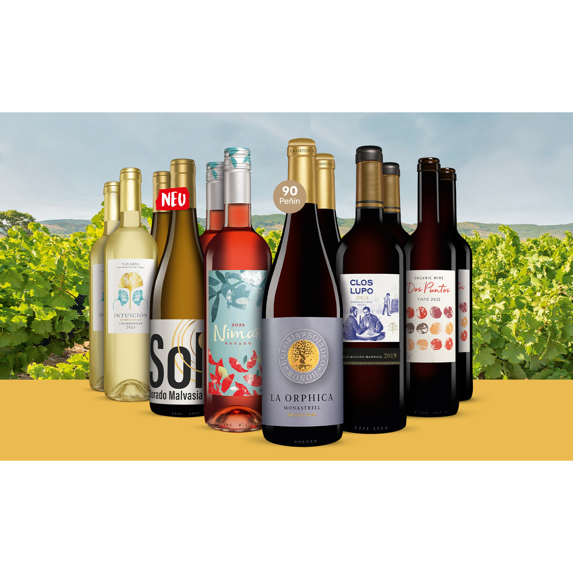 Viva la Vida-Paket  9L Weinpaket aus Spanien 37839 vinos DE