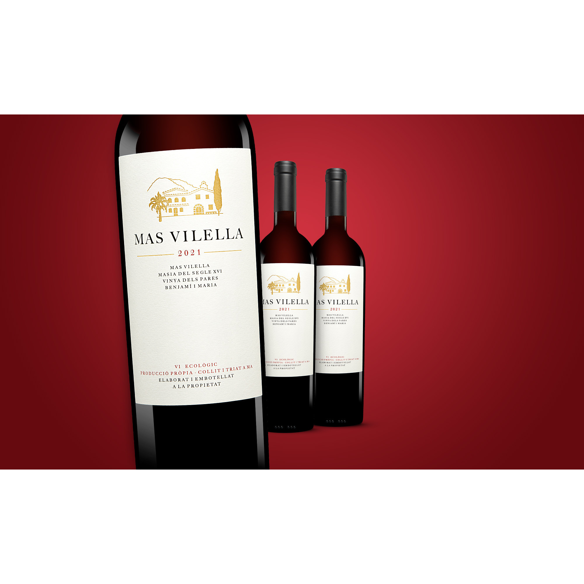 Mas Vilella Negre 2021  2.25L 15.5% Vol. Weinpaket aus Spanien 37862 vinos DE
