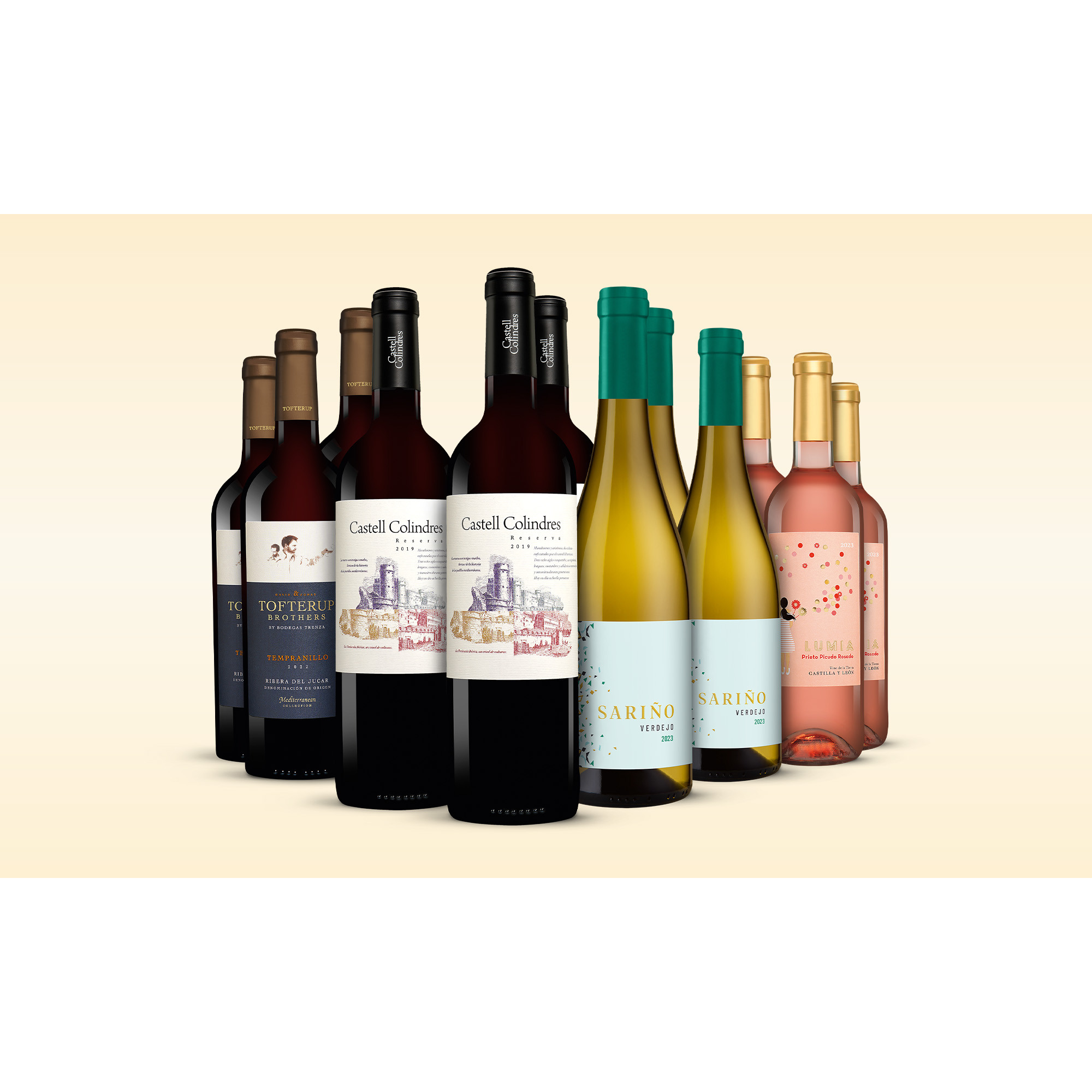 März-Genießer-Paket  9L Weinpaket aus Spanien 37883 vinos DE
