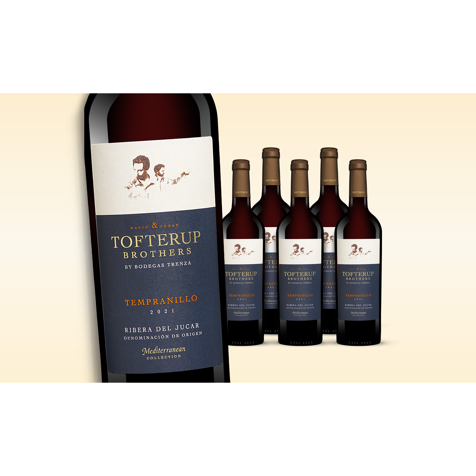 Tofterup Brothers Tempranillo 2022  4.5L 14% Vol. Weinpaket aus Spanien 37885 vinos DE