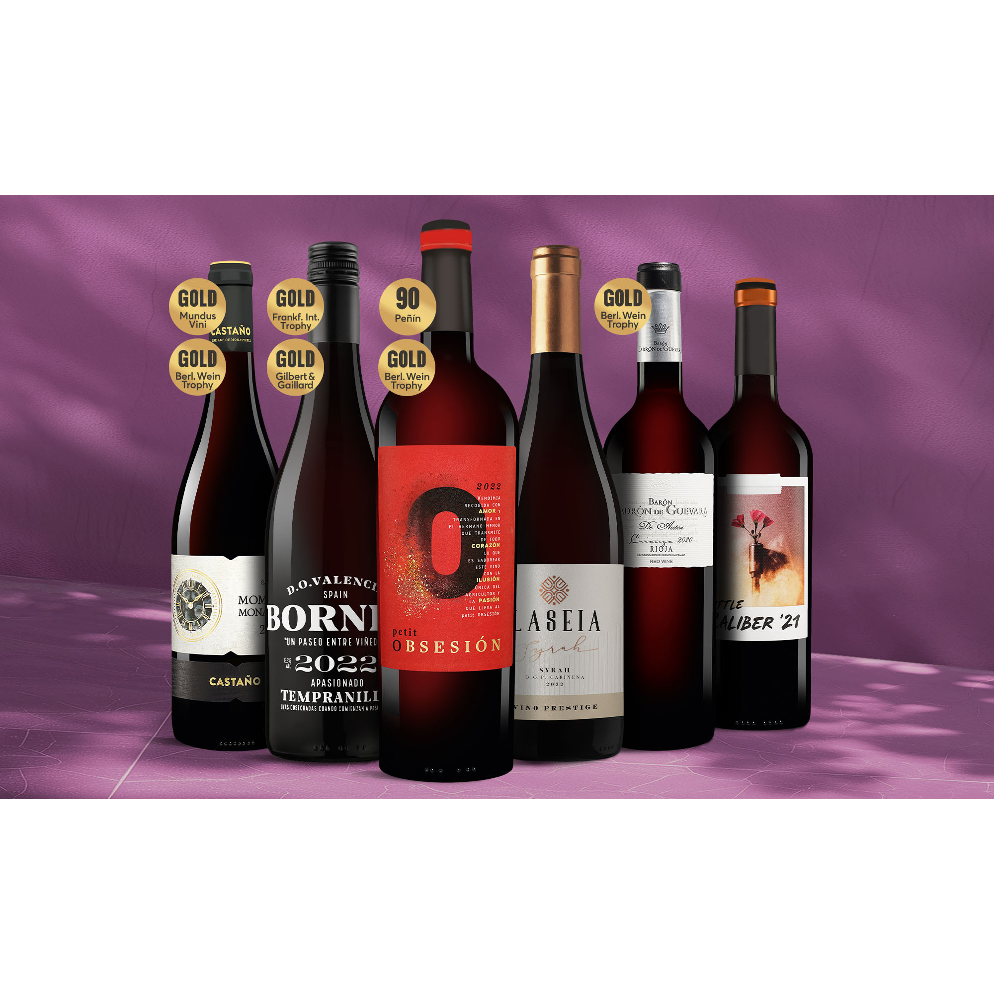 Rotwein Genießer-Paket  4.5L Weinpaket aus Spanien 37964 vinos DE