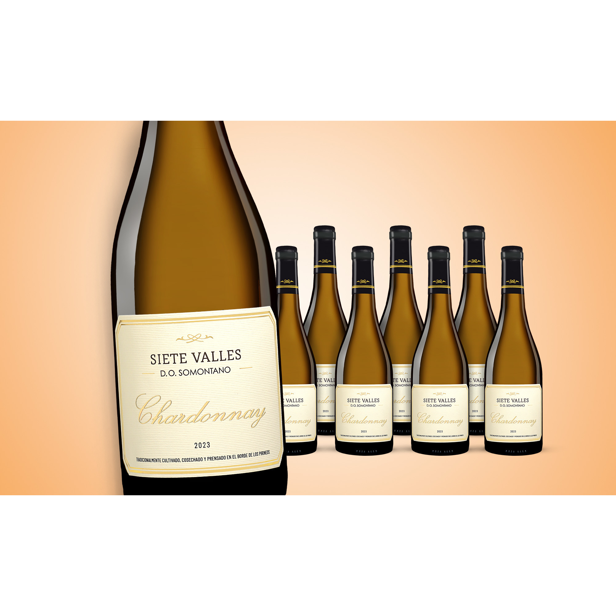 Siete Valles Chardonnay 2023  6L 13% Vol. Weinpaket aus Spanien 38027 vinos DE