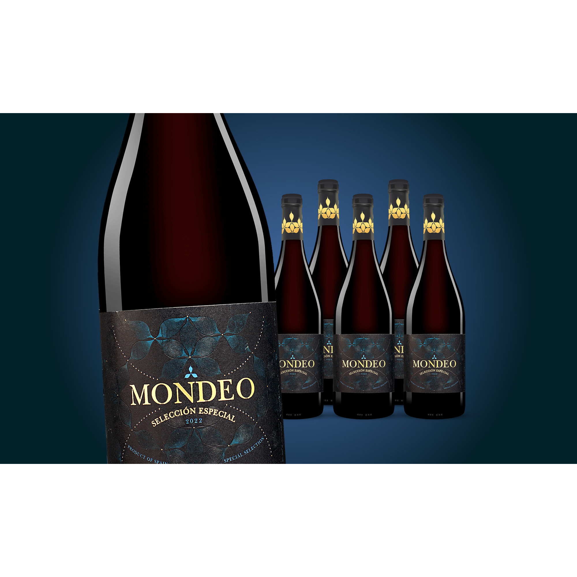 Mondeo Selección Especial 2022  4.5L 14% Vol. Weinpaket aus Spanien 38039 vinos DE