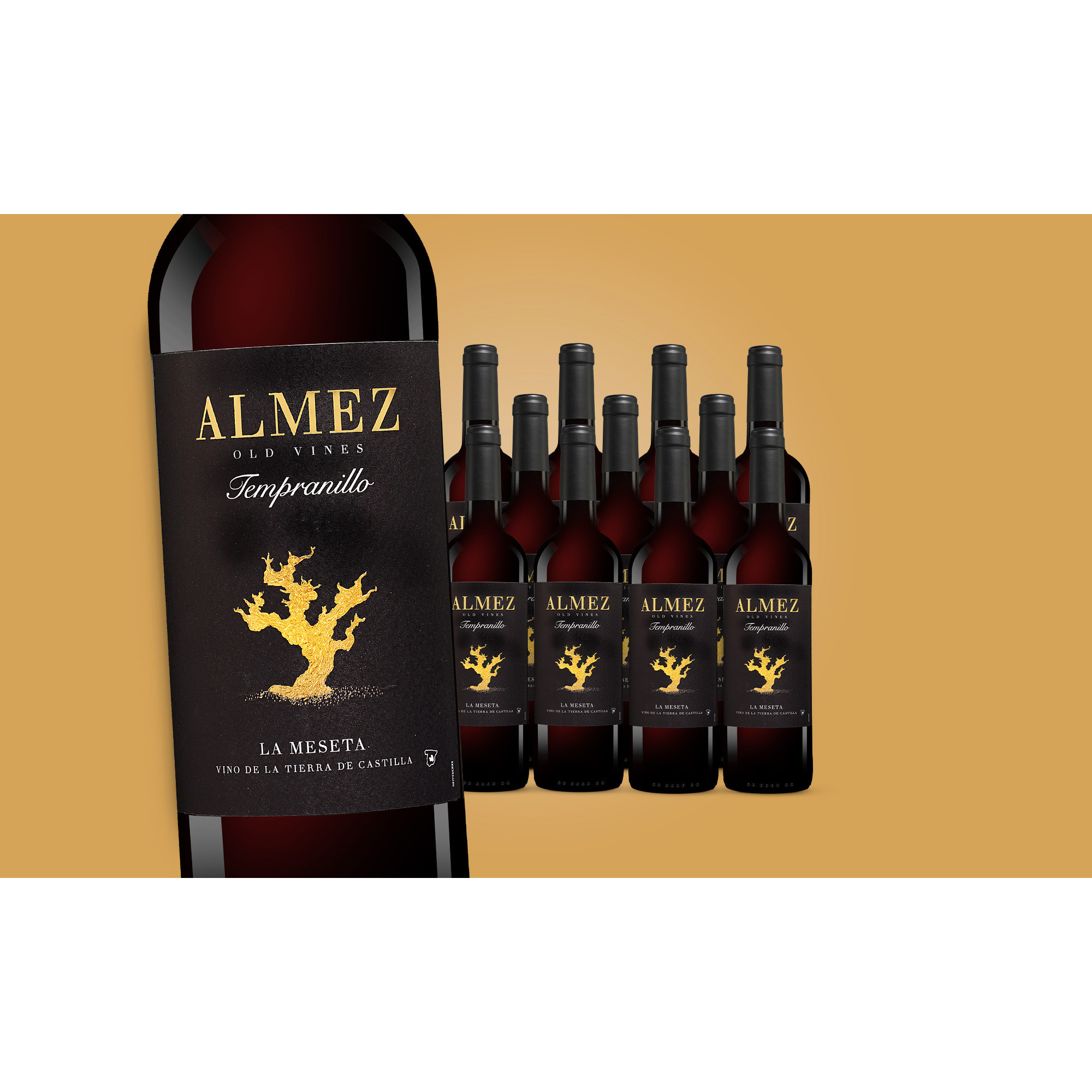 Image of Almez Tempranillo 2023 9L 13.5% Vol. Weinpaket aus Spanien