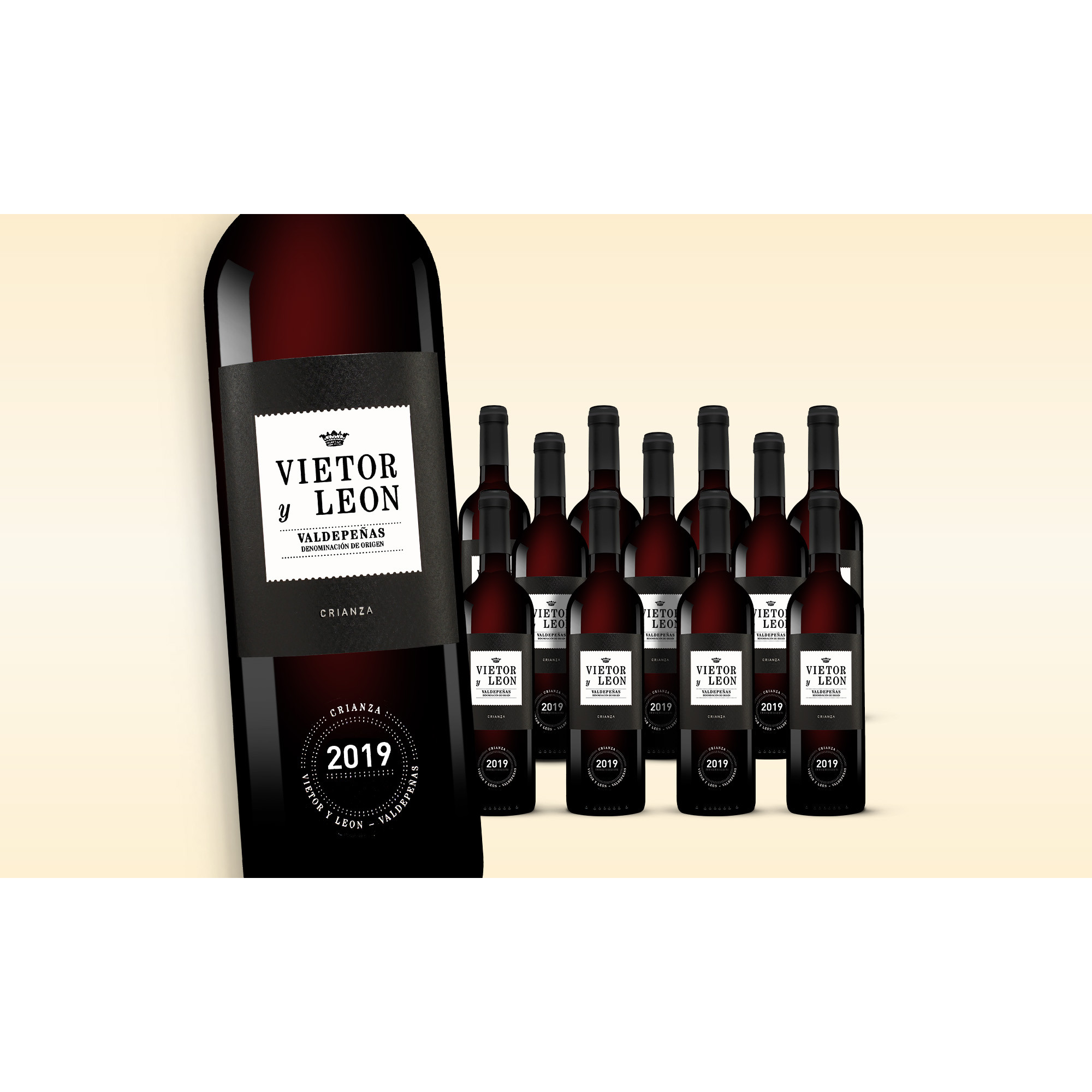 Vietor y Leon Crianza 2019  9L 13% Vol. Weinpaket aus Spanien 38096 vinos DE