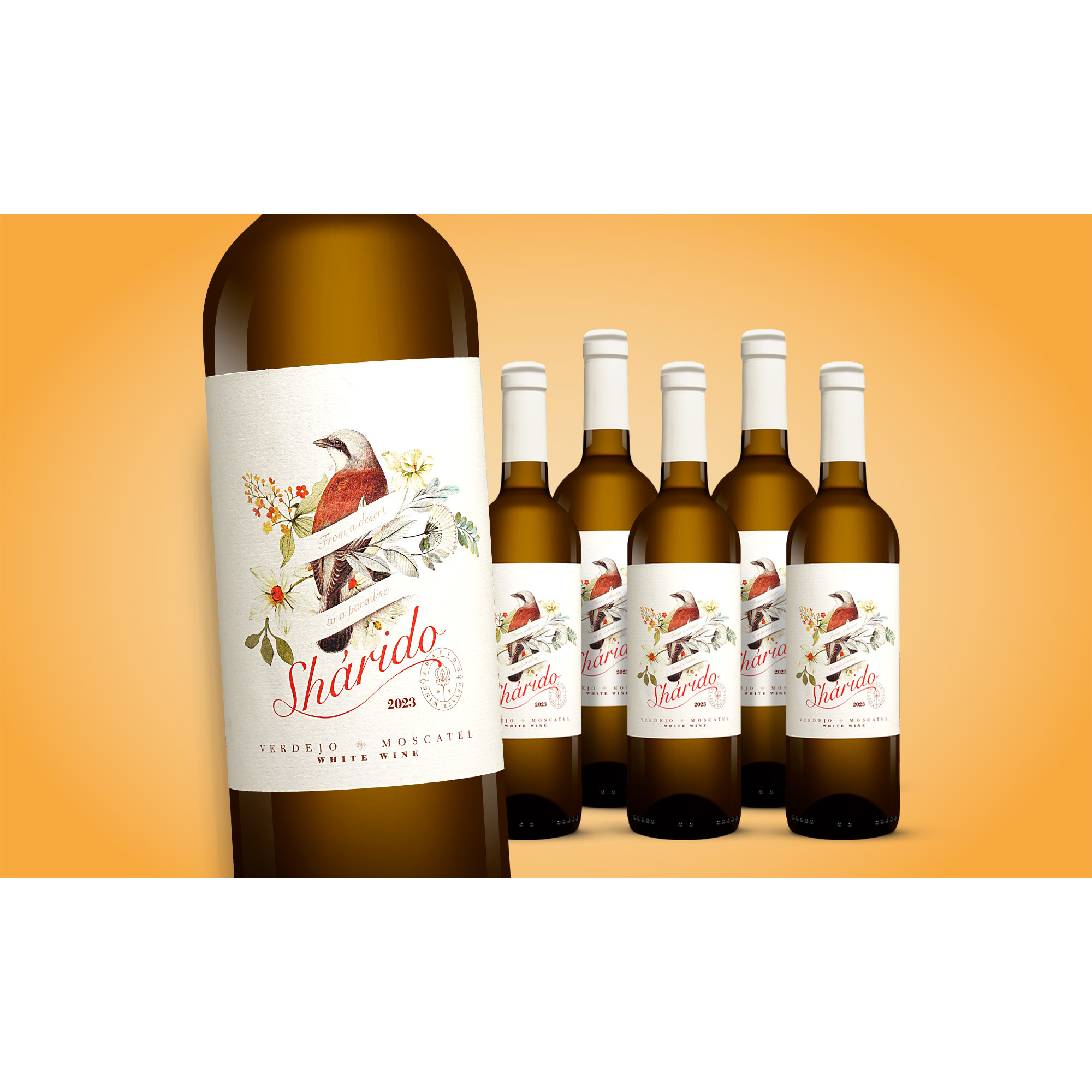 Shárido Verdejo Moscatel 2023  4.5L 13% Vol. Weinpaket aus Spanien 38111 vinos DE