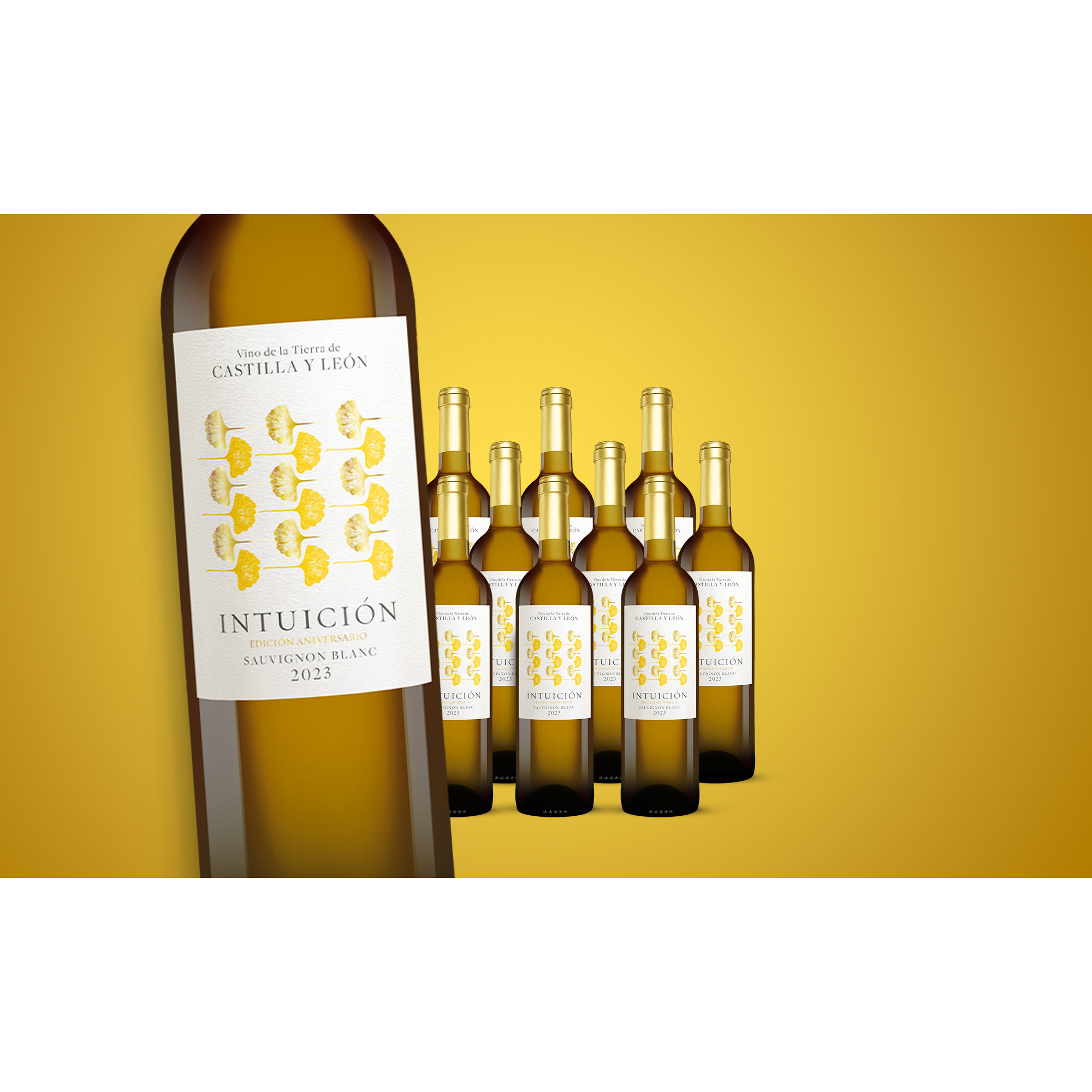 Intuición »Aniversario« Sauvignon Blanc 2023  7.5L 13% Vol. Weinpaket aus Spanien 38119 vinos DE