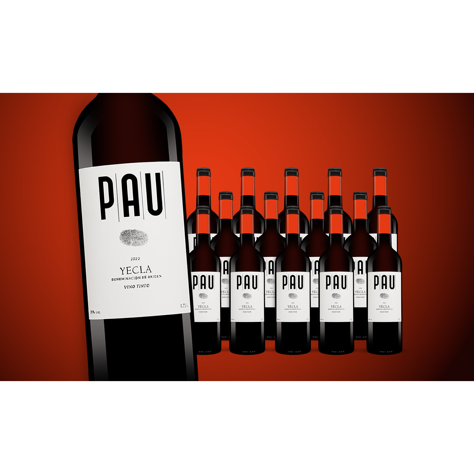 Pau Tinto 2022  11.25L 14% Vol. Weinpaket aus Spanien 38211 vinos DE