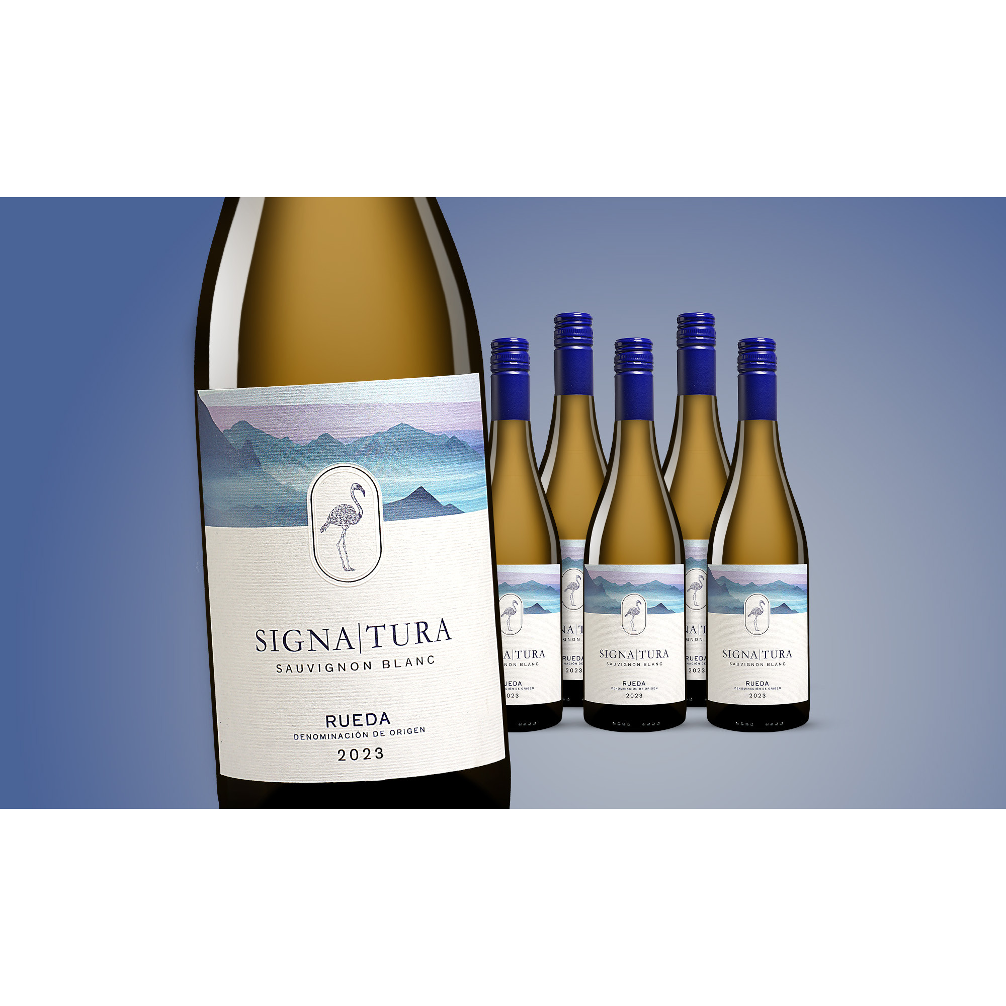 Signatura Sauvignon Blanc 2023  4.5L 13% Vol. Weinpaket aus Spanien 38212 vinos DE