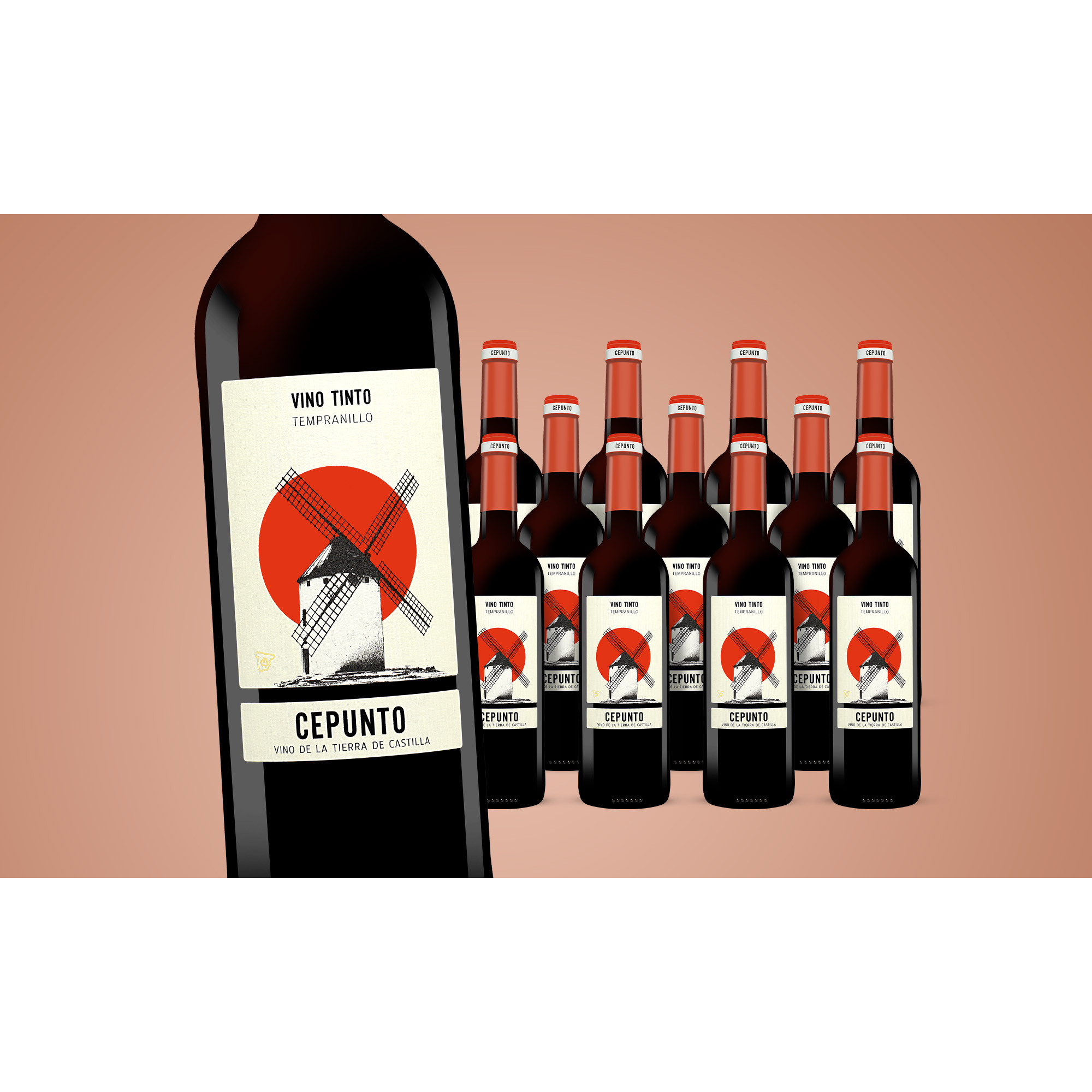 Cepunto Tinto  9L 13.5% Vol. Weinpaket aus Spanien 38291 vinos DE