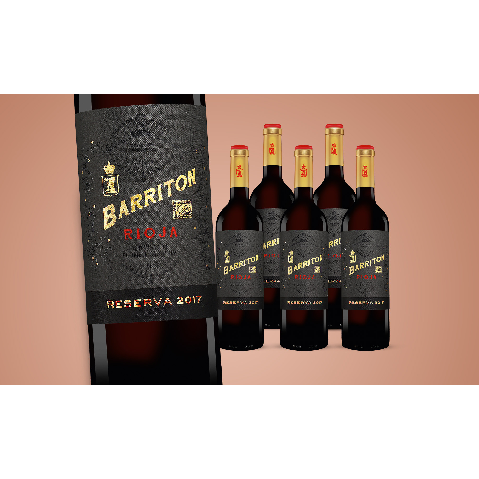 Barriton Reserva 2017  4.5L 13.5% Vol. Weinpaket aus Spanien 38298 vinos DE