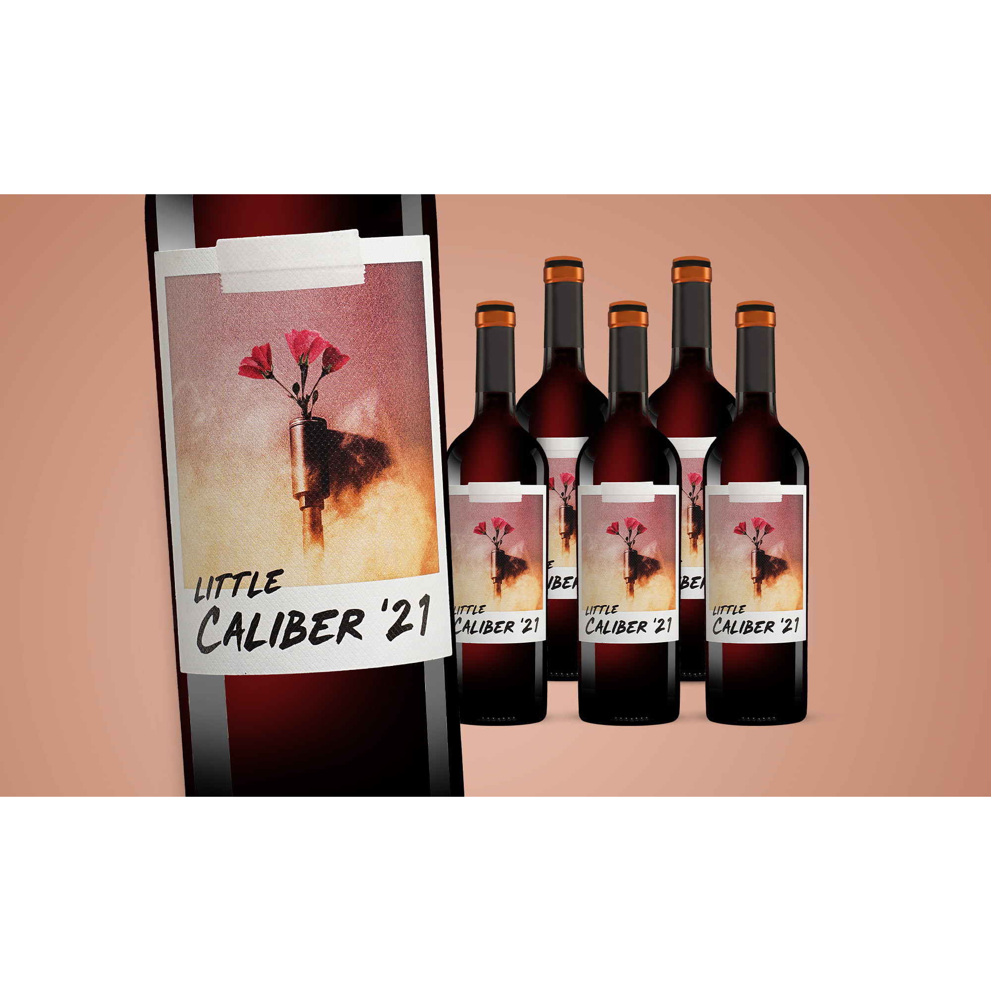 little Caliber 2021  4.5L 14.5% Vol. Weinpaket aus Spanien 38300 vinos DE