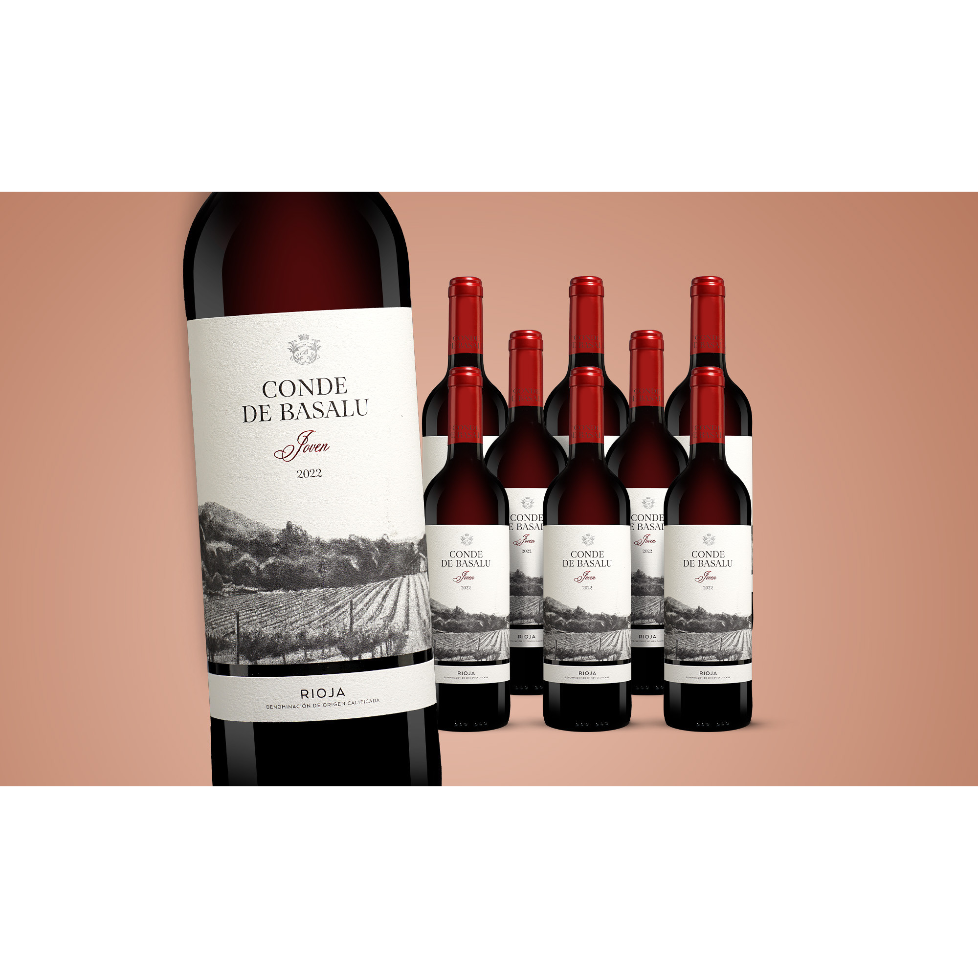 Conde de Basalu 2022  6.75L 13% Vol. Weinpaket aus Spanien 38303 vinos DE