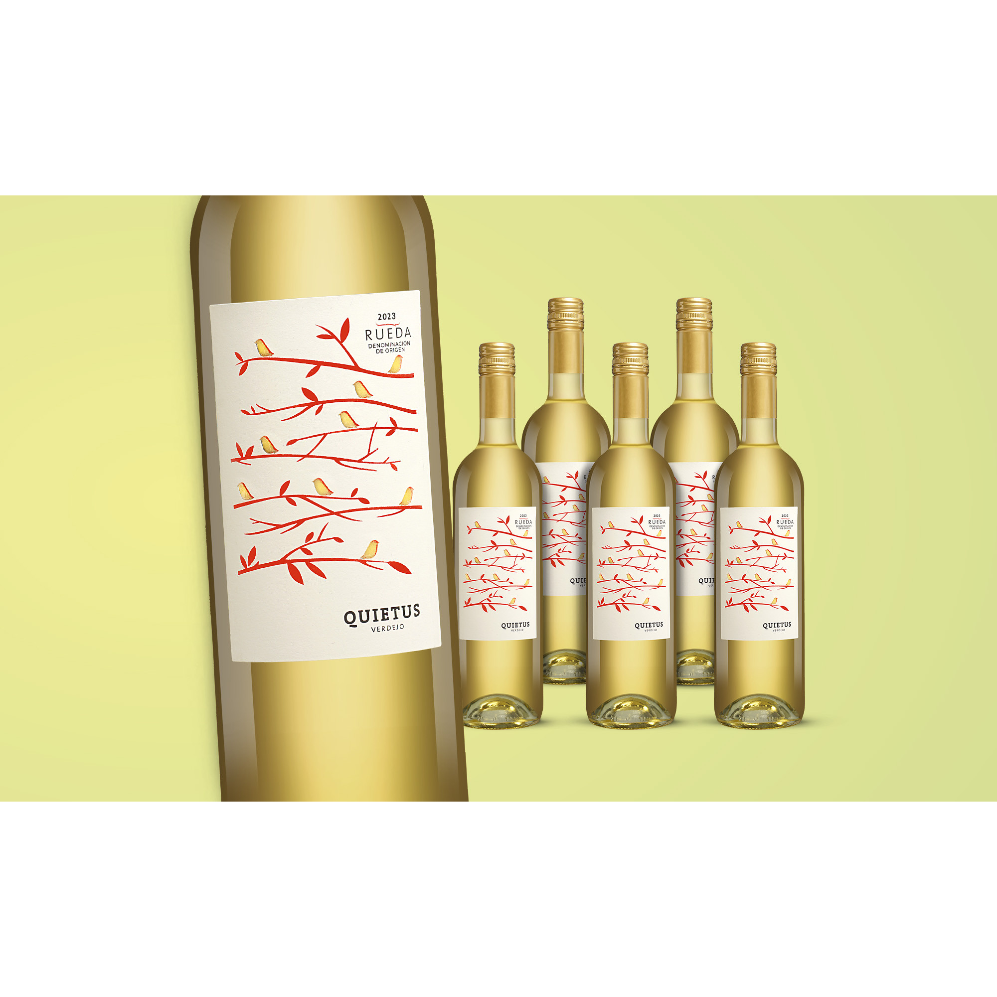 Quietus Verdejo 2023  4.5L 12.5% Vol. Weinpaket aus Spanien 38304 vinos DE