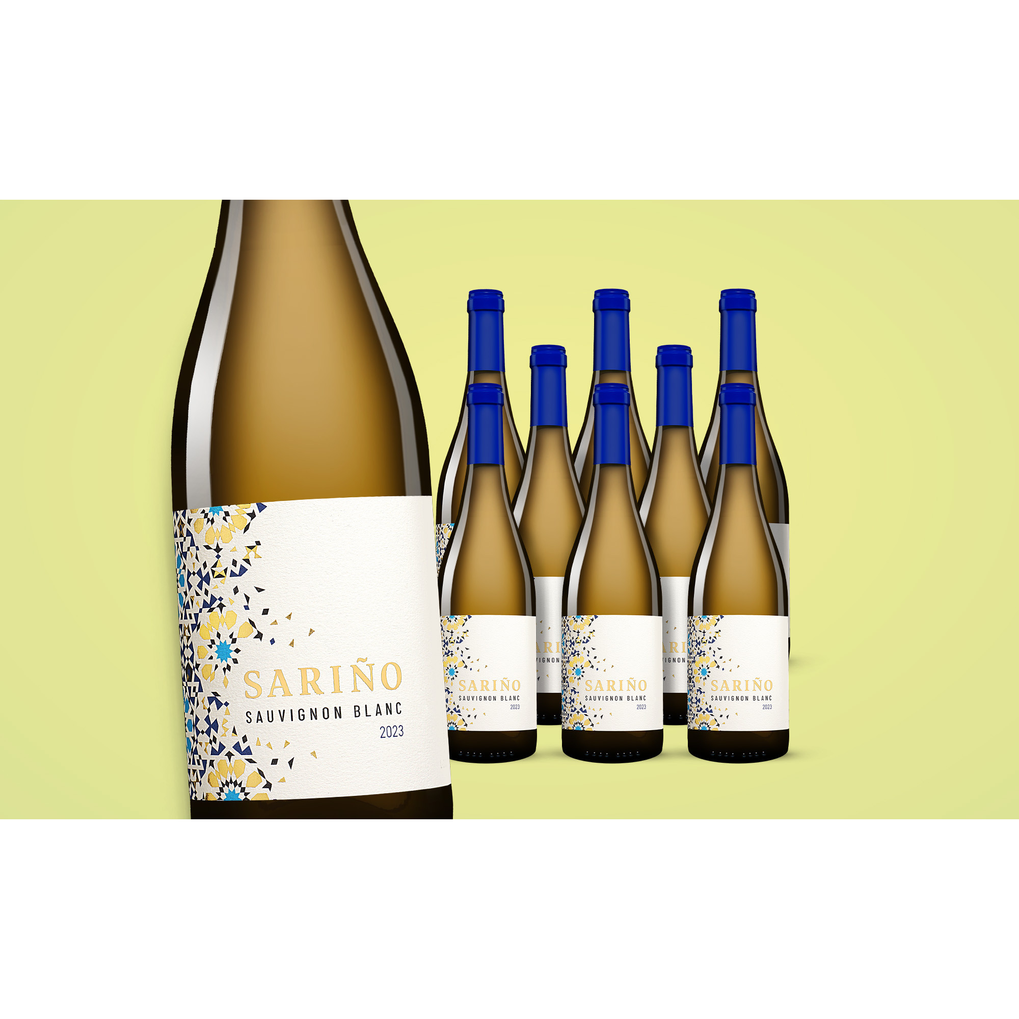 Sariño Sauvignon Blanc 2023  6.75L 12.5% Vol. Weinpaket aus Spanien 38306 vinos DE