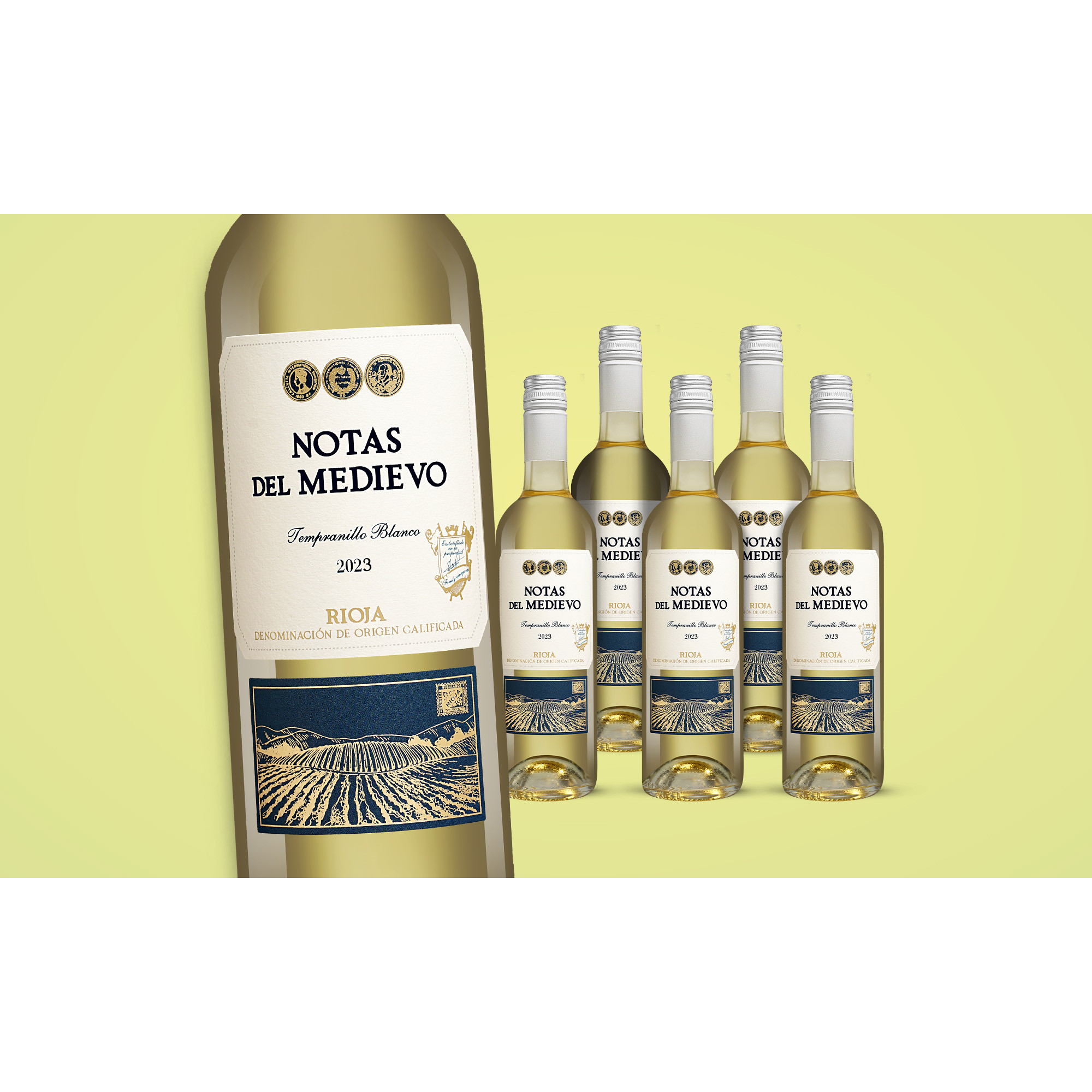 Notas del Medievo Tempranillo Blanco 2023  4.5L 12% Vol. Weinpaket aus Spanien 38309 vinos DE