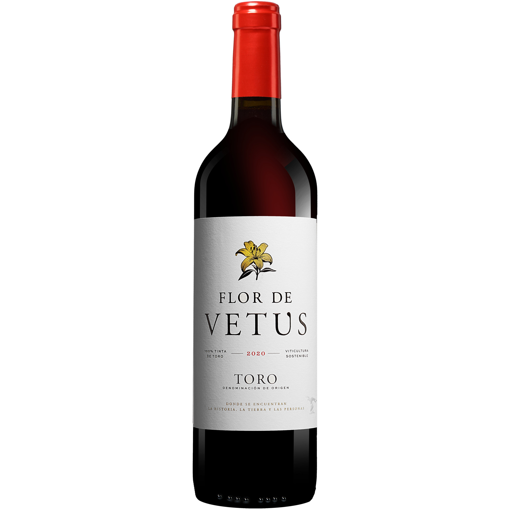 Vetus »Flor de Vetus« 2020  014.5% Vol. Rotwein Trocken aus Spanien