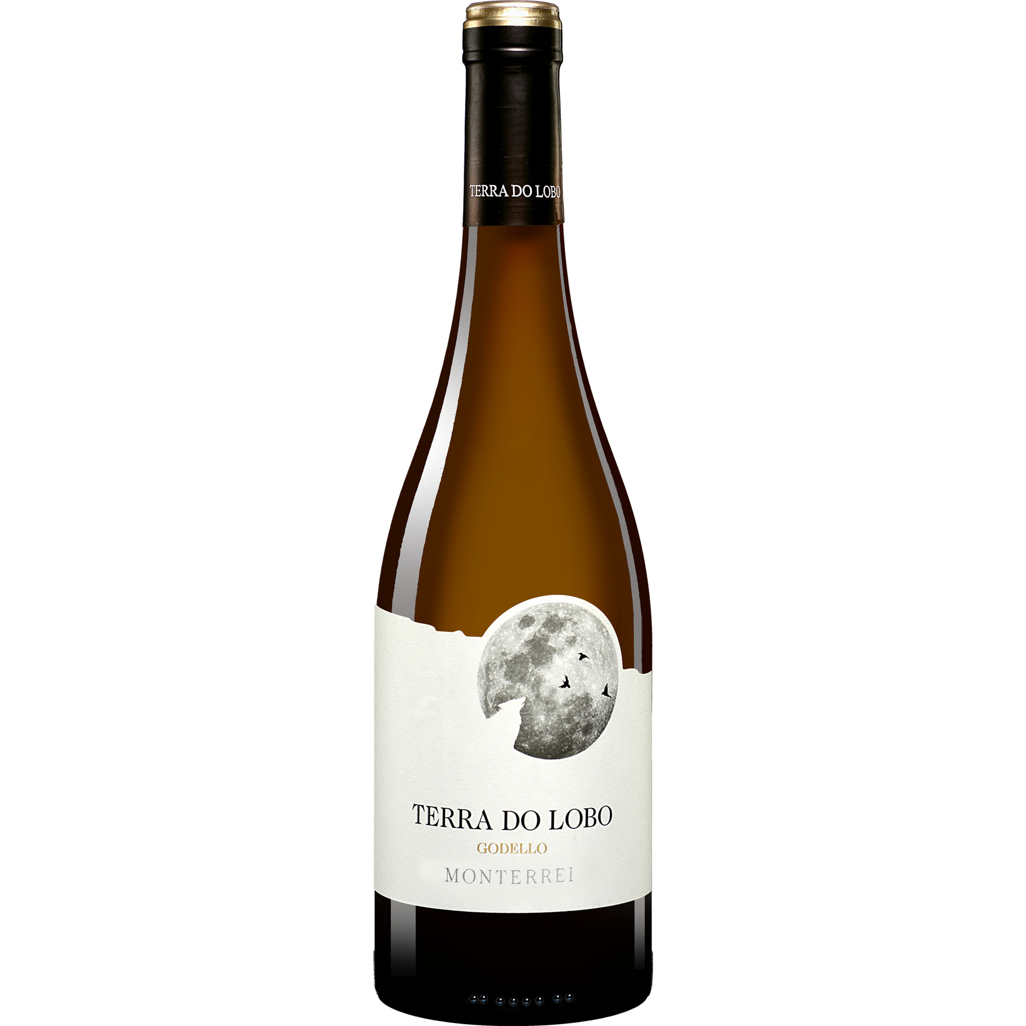 Terra do Lobo 2023  013.5% Vol. Weißwein Trocken aus Spanien
