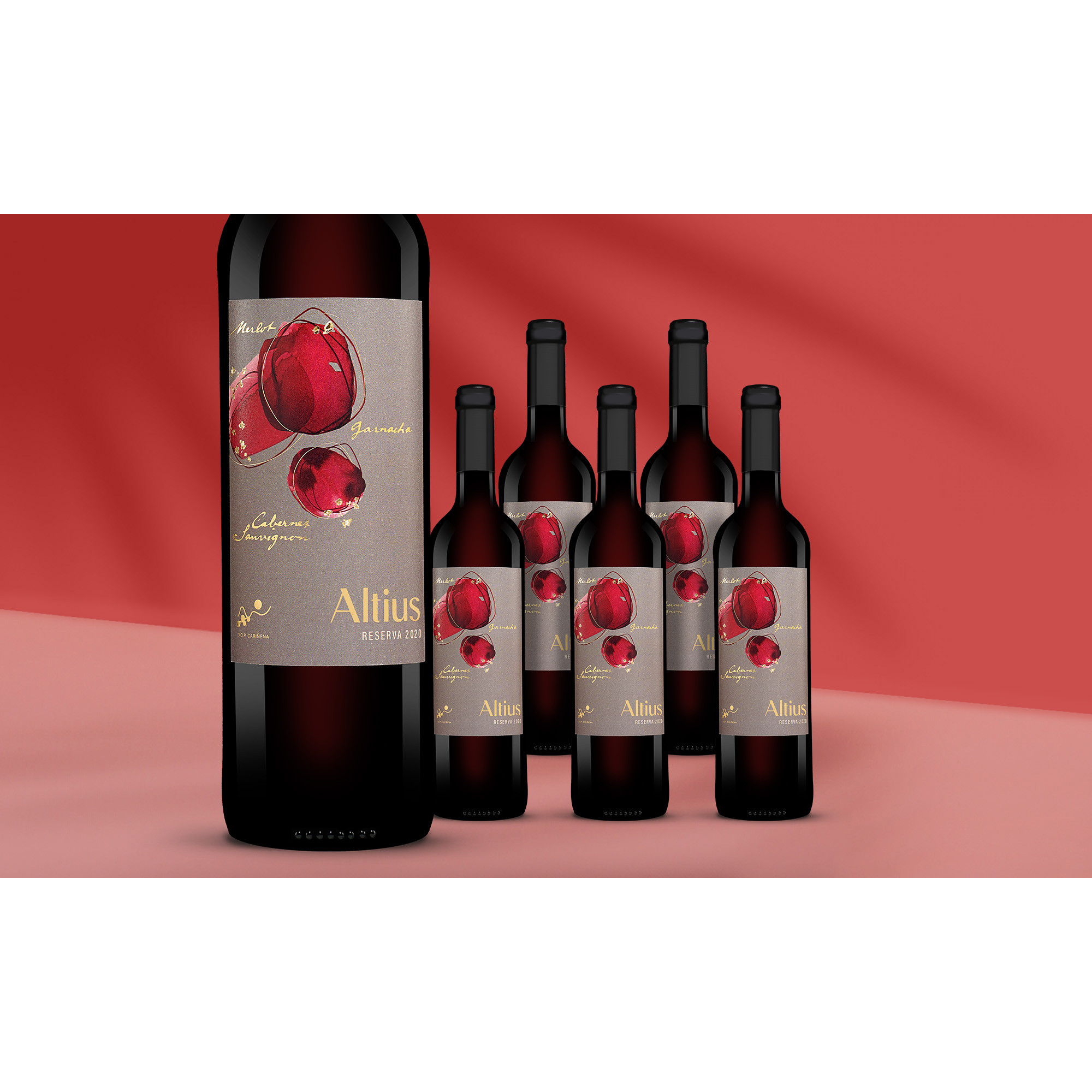 Altius Reserva 2020  414% Vol. Weinpaket aus Spanien