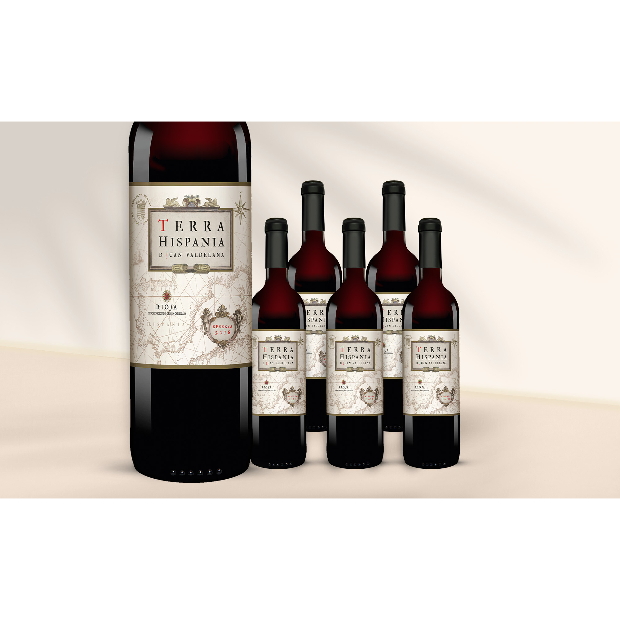 Terra Hispania Reserva 2018  4.5L 14.5% Vol. Weinpaket aus Spanien 38770 vinos DE