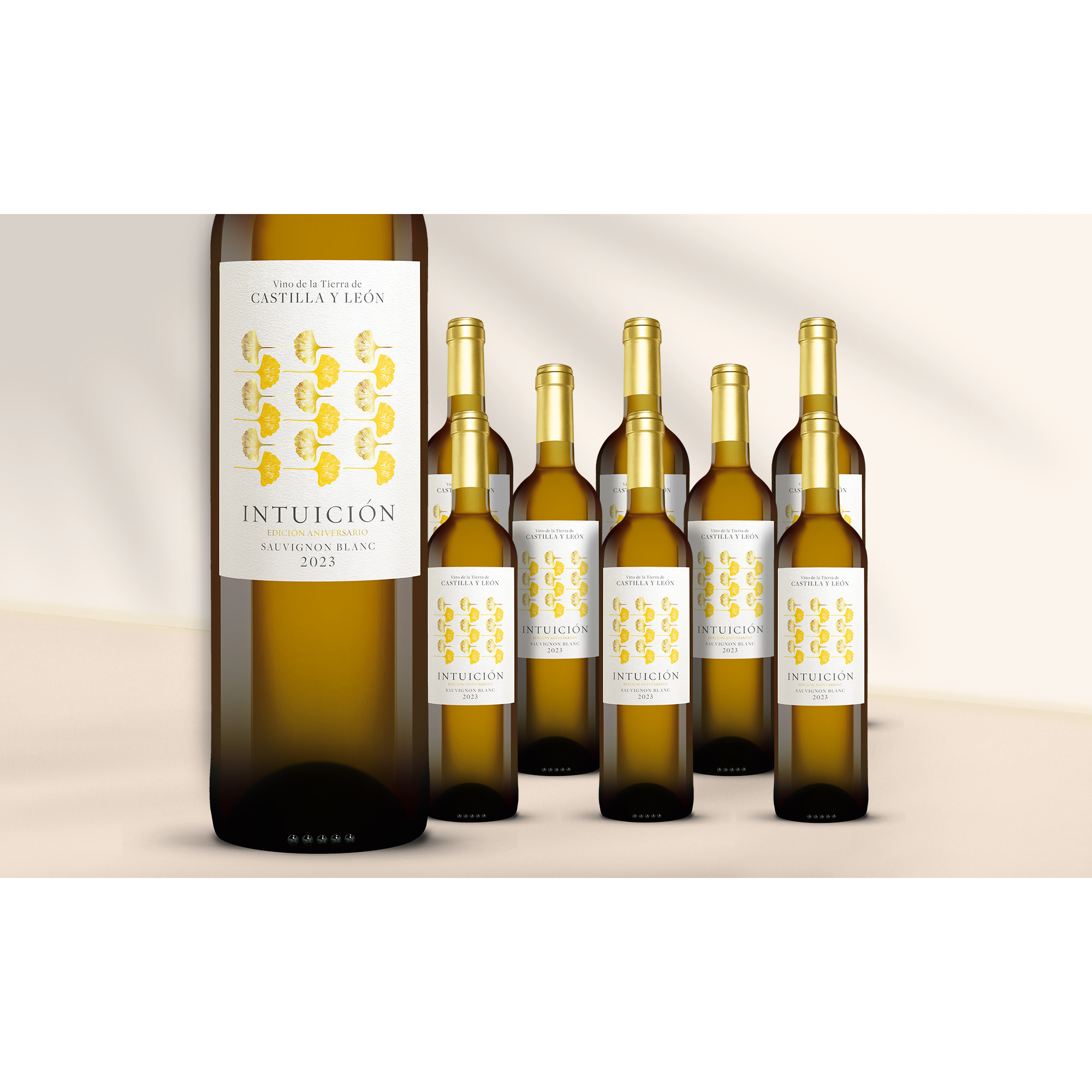 Intuición »Aniversario« Sauvignon Blanc 2023  6.75L 13% Vol. Weinpaket aus Spanien 38772 vinos DE