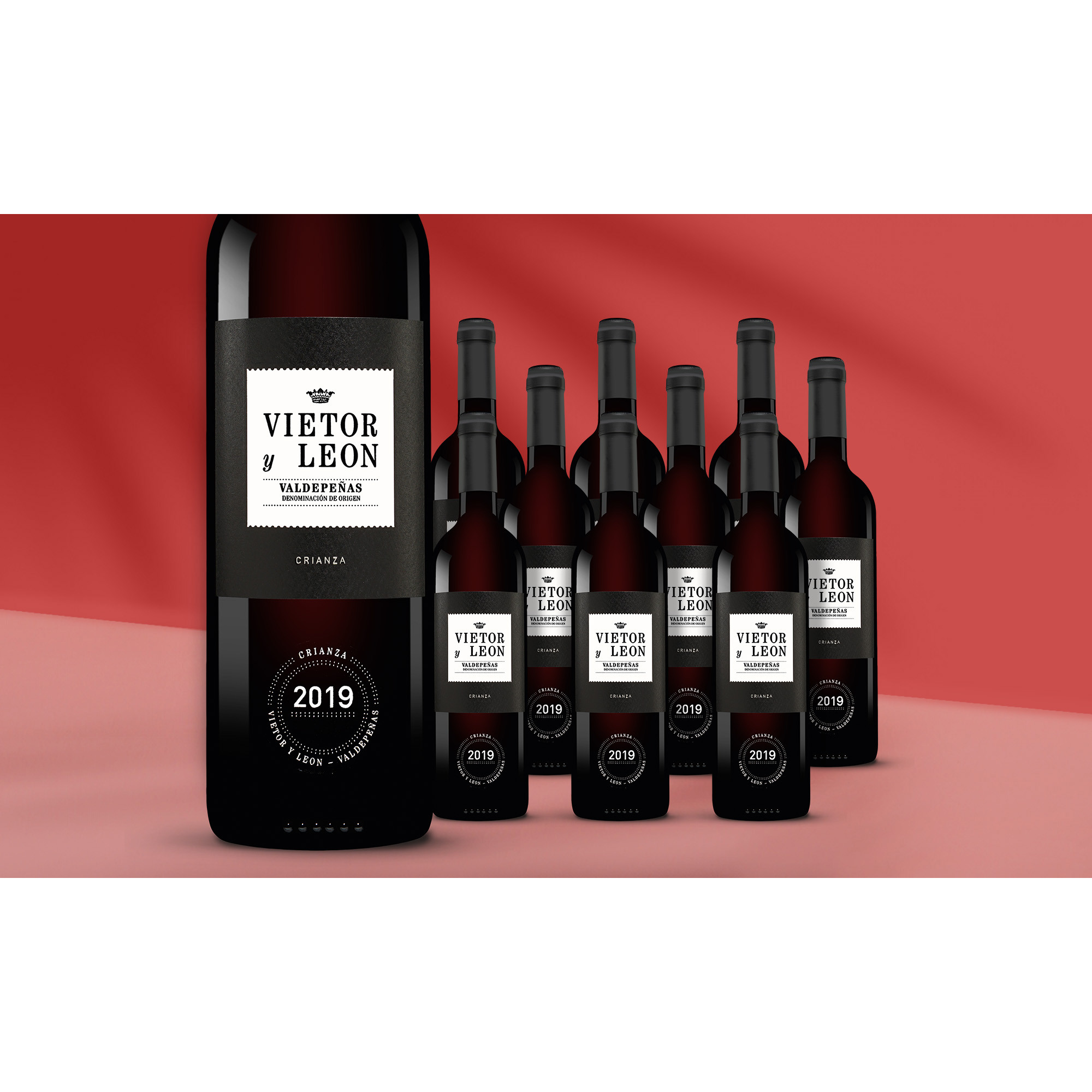Vietor y Leon Crianza 2019  7.5L 13% Vol. Weinpaket aus Spanien 38786 vinos DE