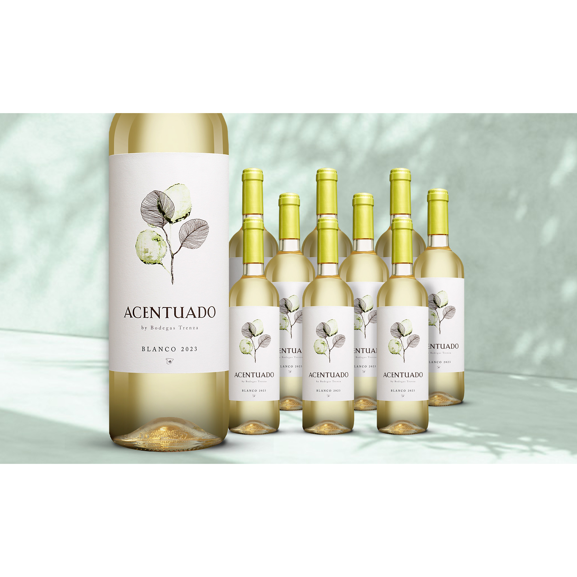 Acentuado Blanco 2023  712% Vol. Weinpaket aus Spanien