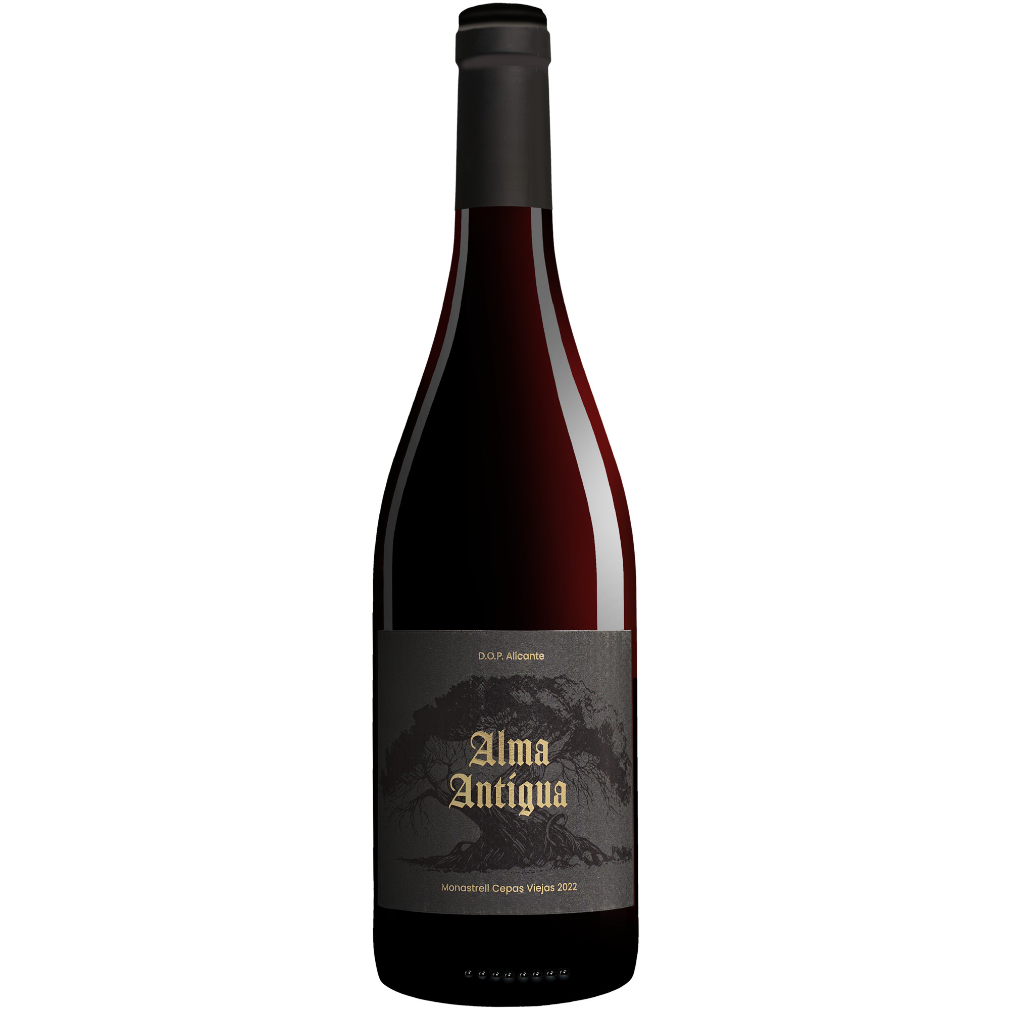 Alma Antigua Monastrell Cepas Viejas 2022  013.5% Vol. Rotwein Trocken aus Spanien